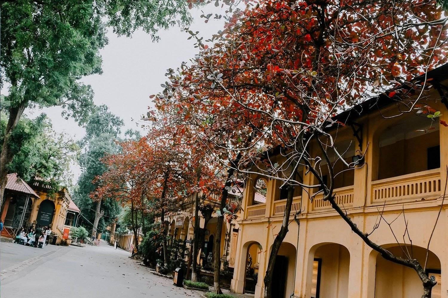 105 Láng Hạ