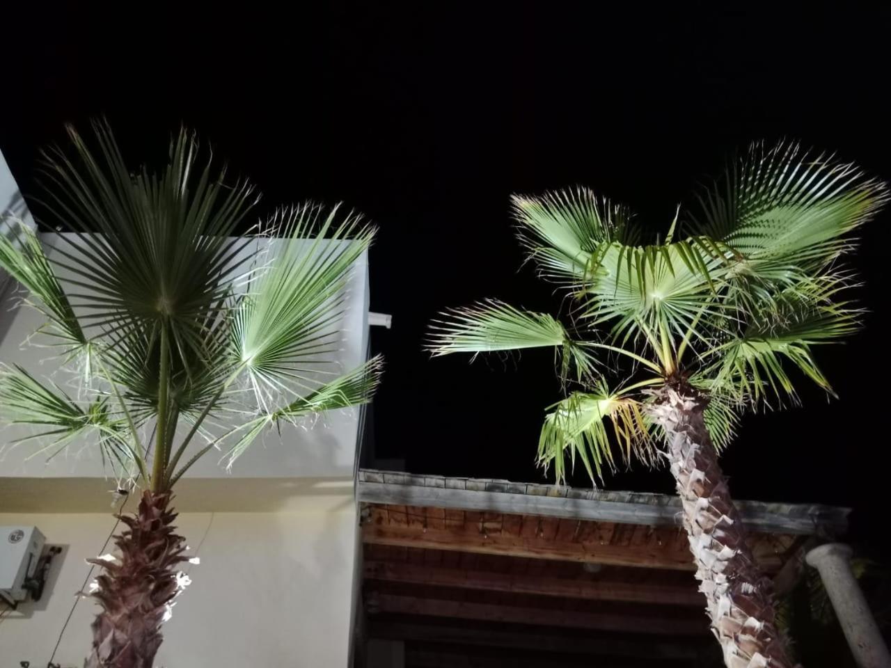 Photo 47