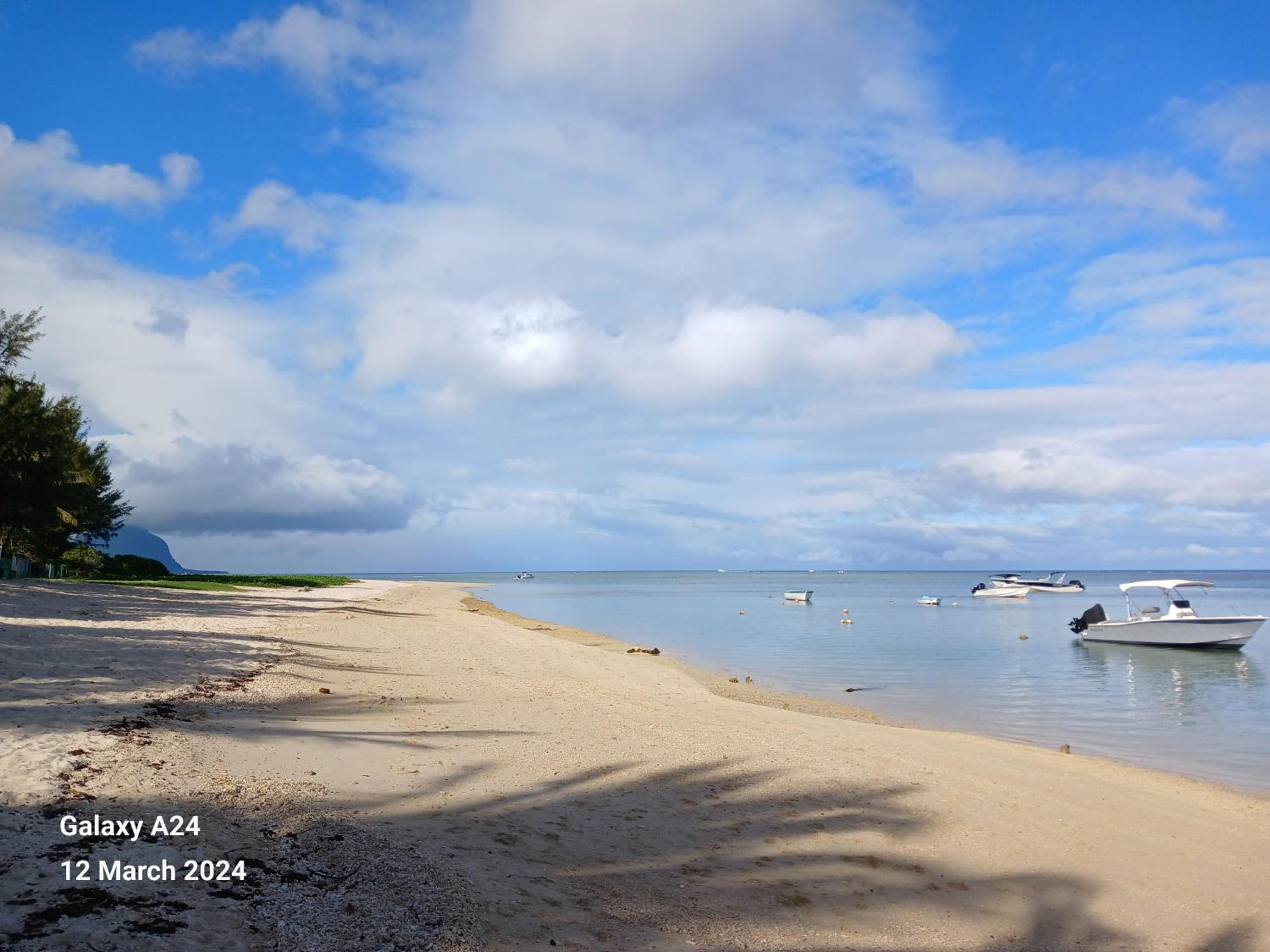 The Coral House photo 3