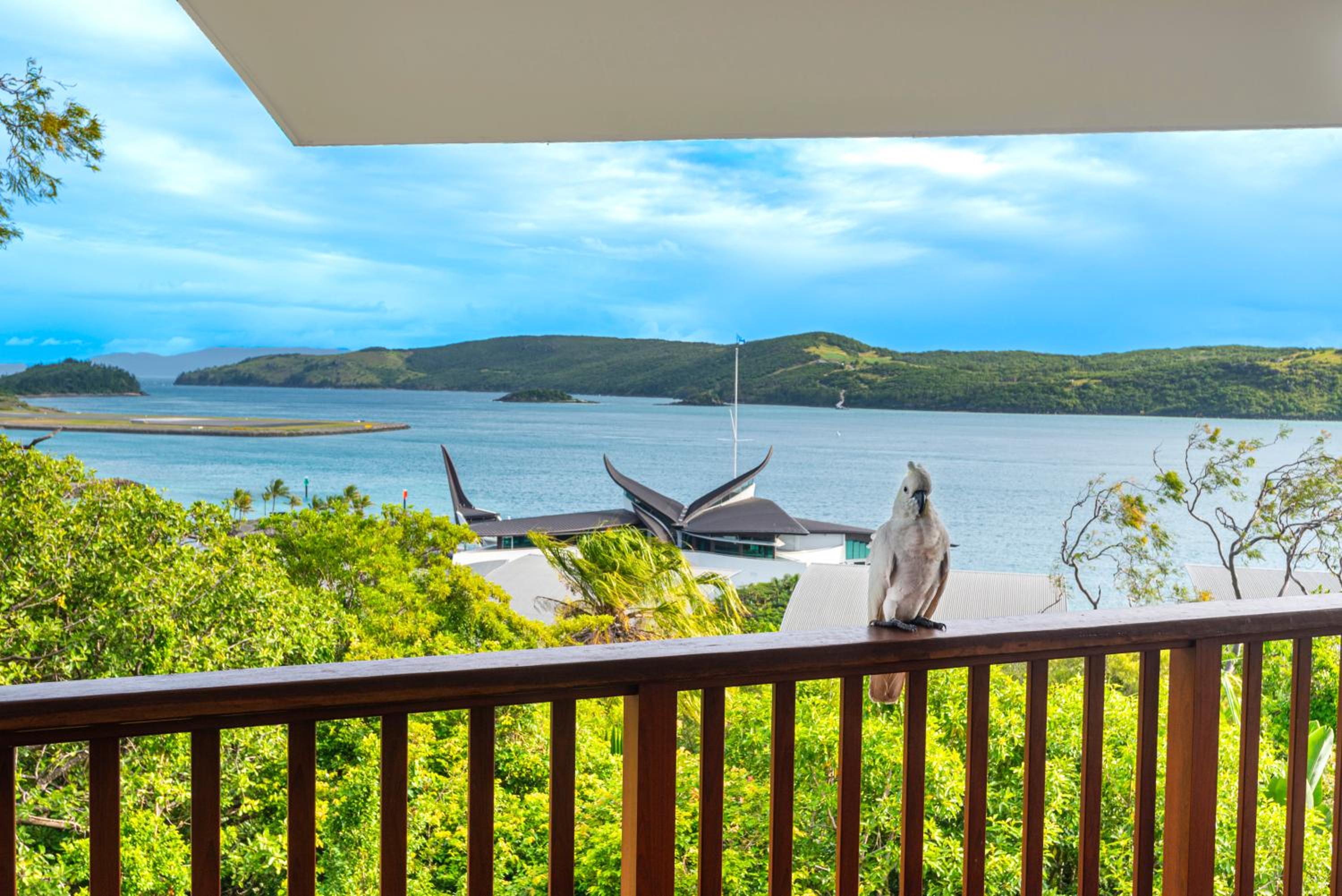 Casuarina Cove on Hamilton Island by HIHA
