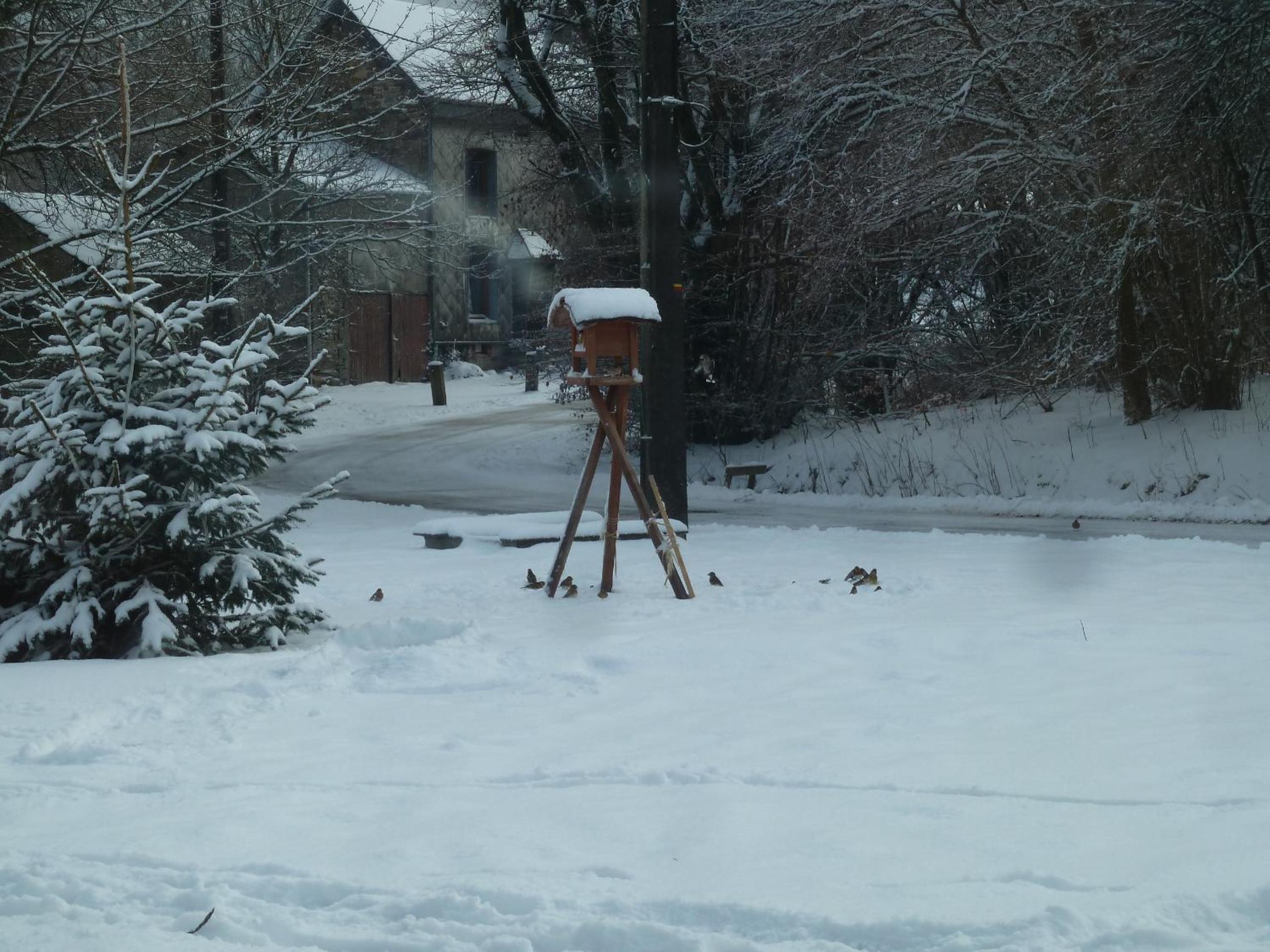 gîte Le cheval ardennais