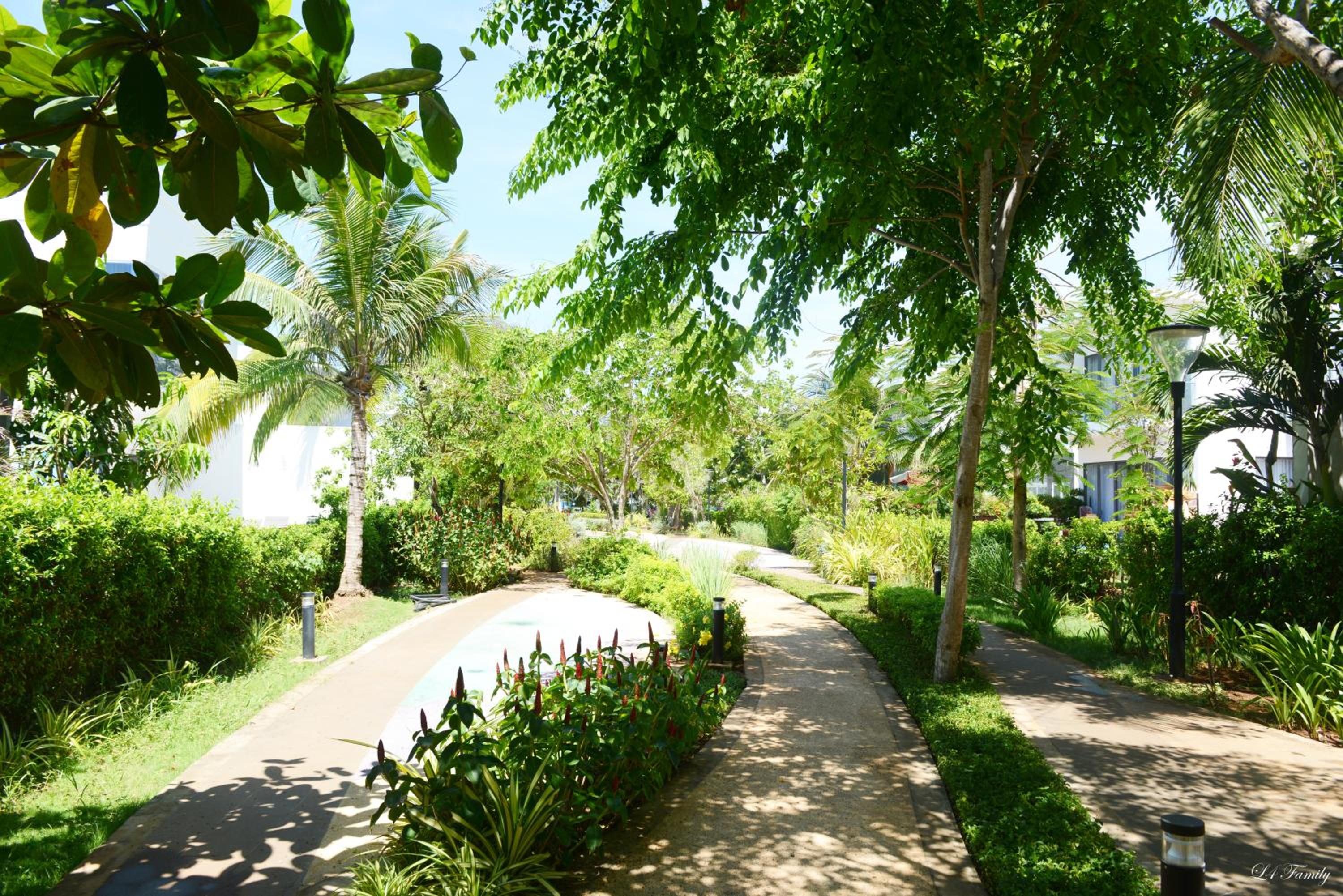 Lfamily Ocean view Apartment 91m2 - ARIA Vung Tau Private Beach Resort, căn hộ Aria Vũng Tàu 91 m2 view biển, bãi biển riêng view 4