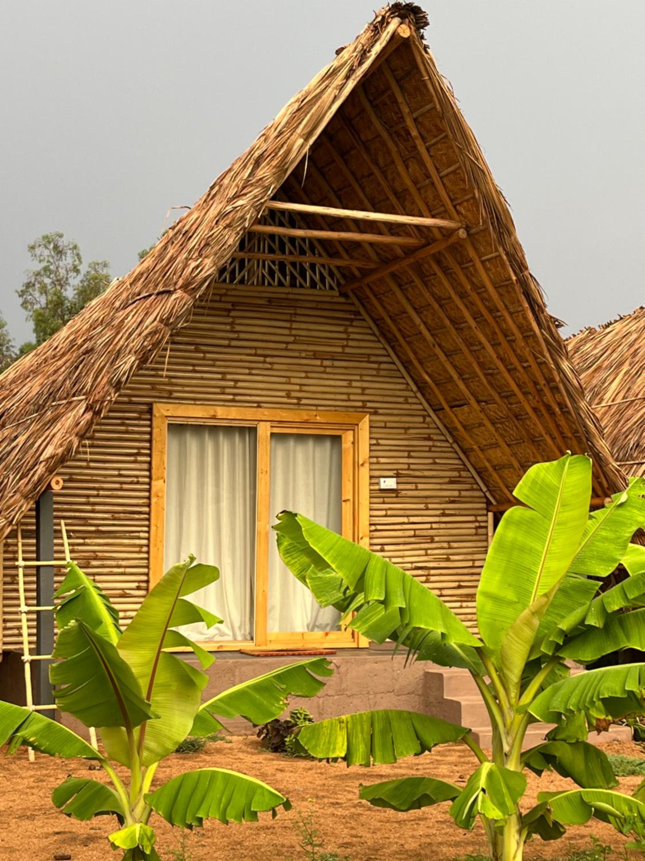 Tropical Hampi