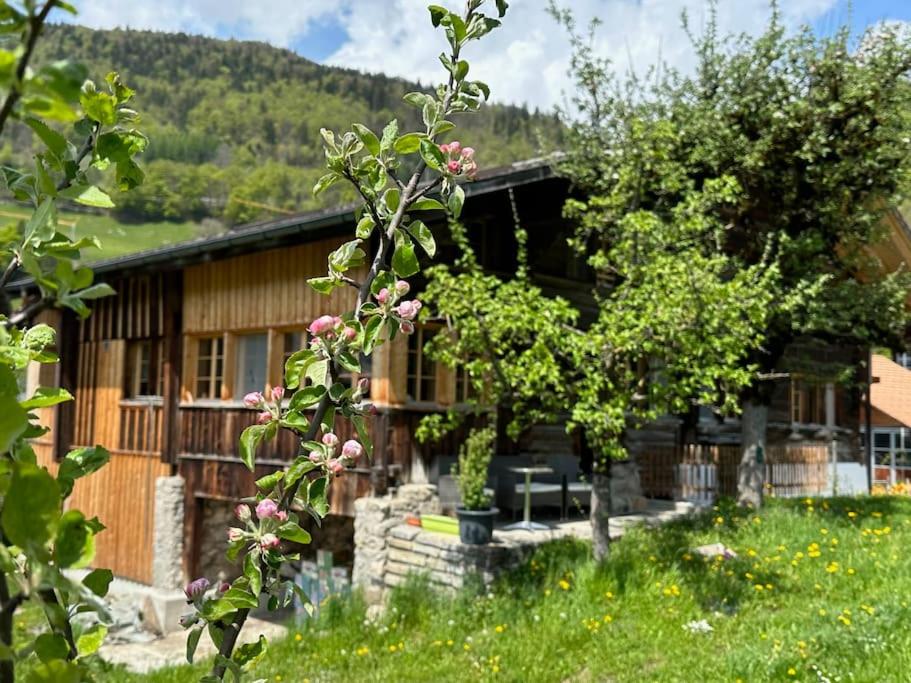 3-Bedrooms Apartment in a Chalet