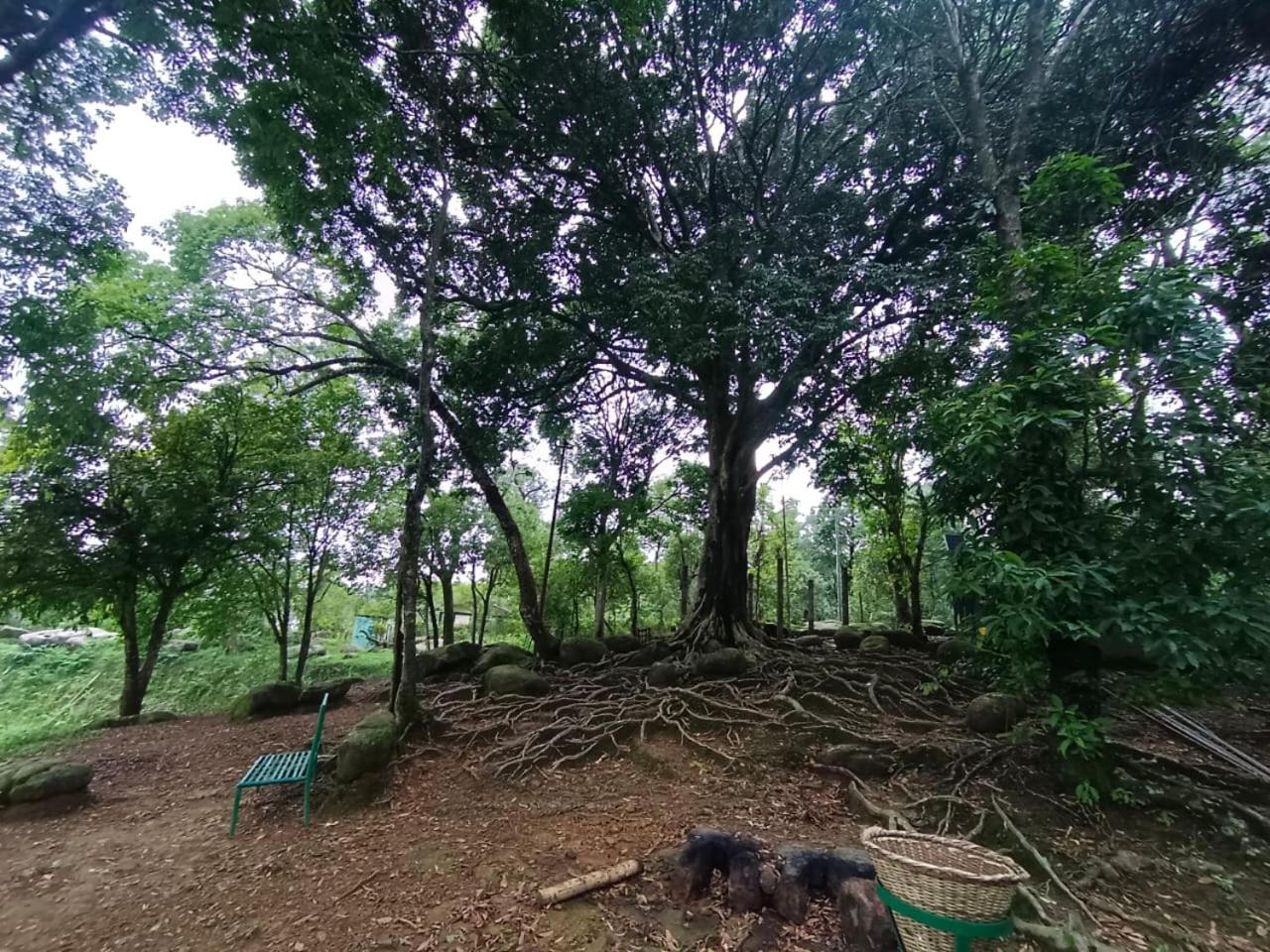 Benjamin homestay