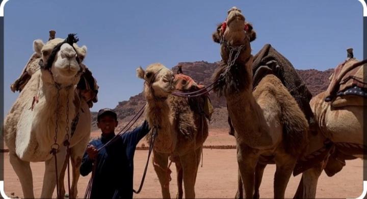 Awad Bedouin camp