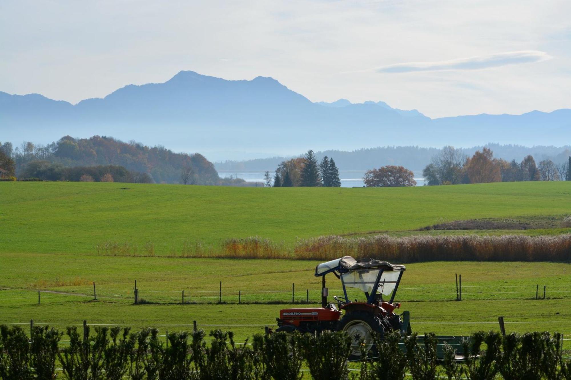 Berg- und Seeblick