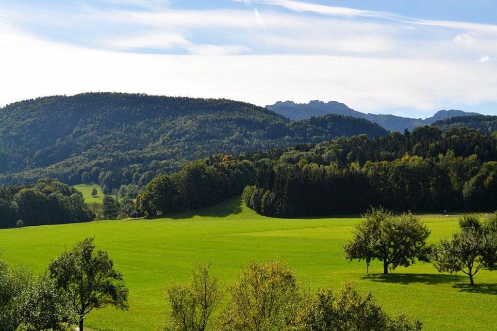 Bergblick