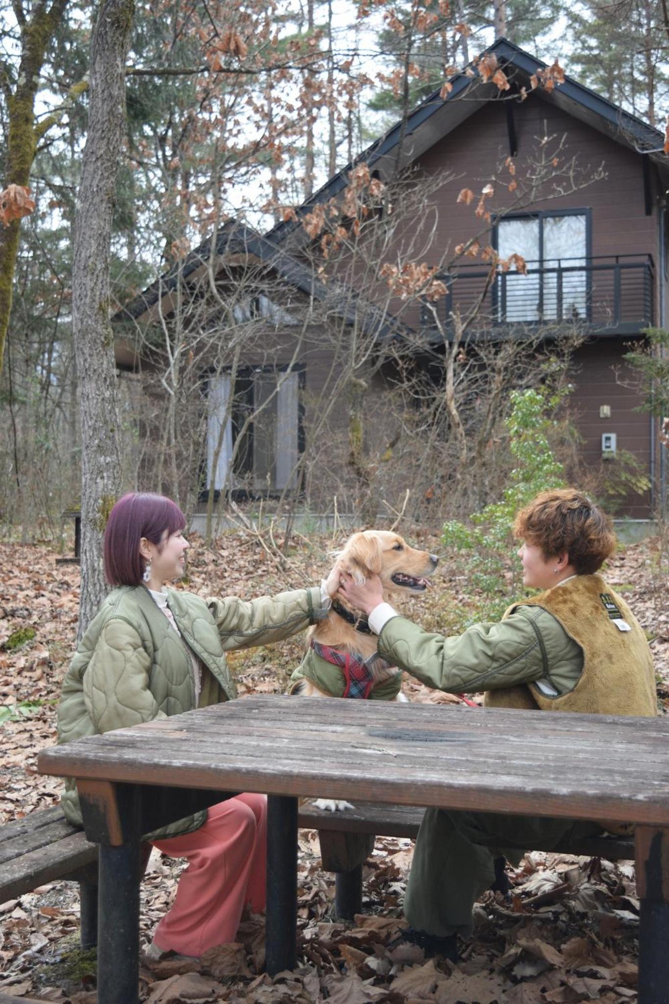 Photo 11
