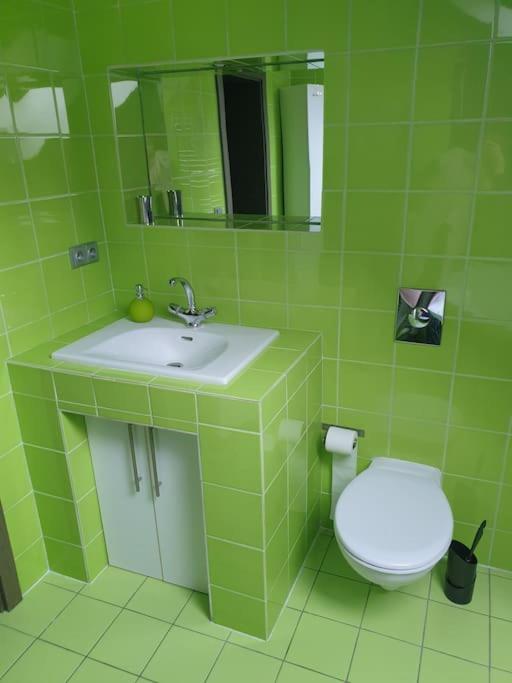 Apartment Radčice 80m2