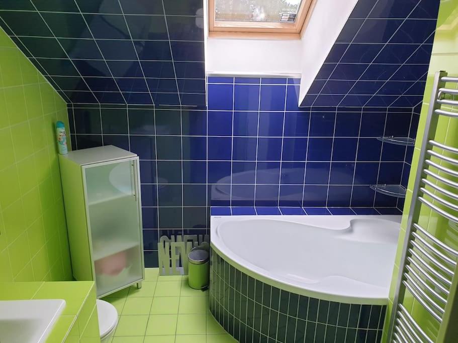 Apartment Radčice 80m2