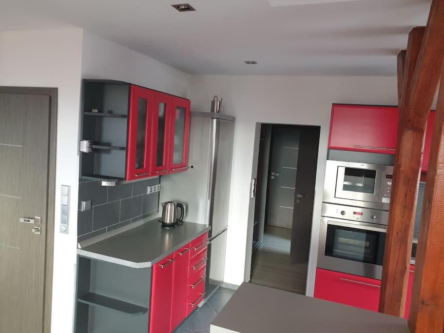 Apartment Radčice 80m2