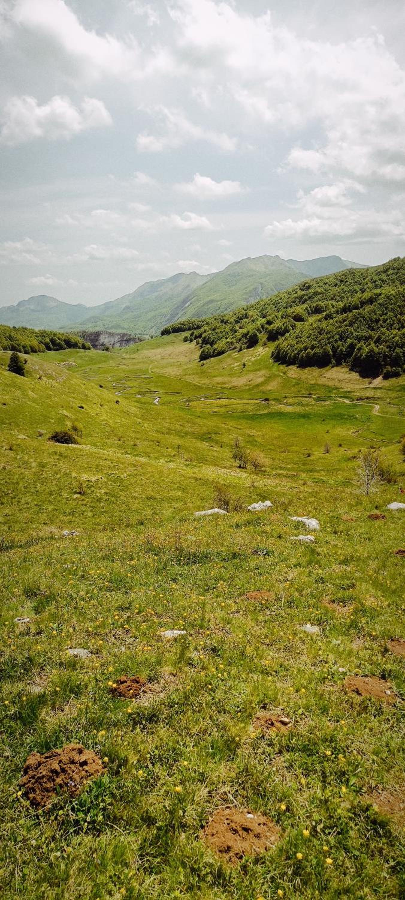 Koliba Planinka