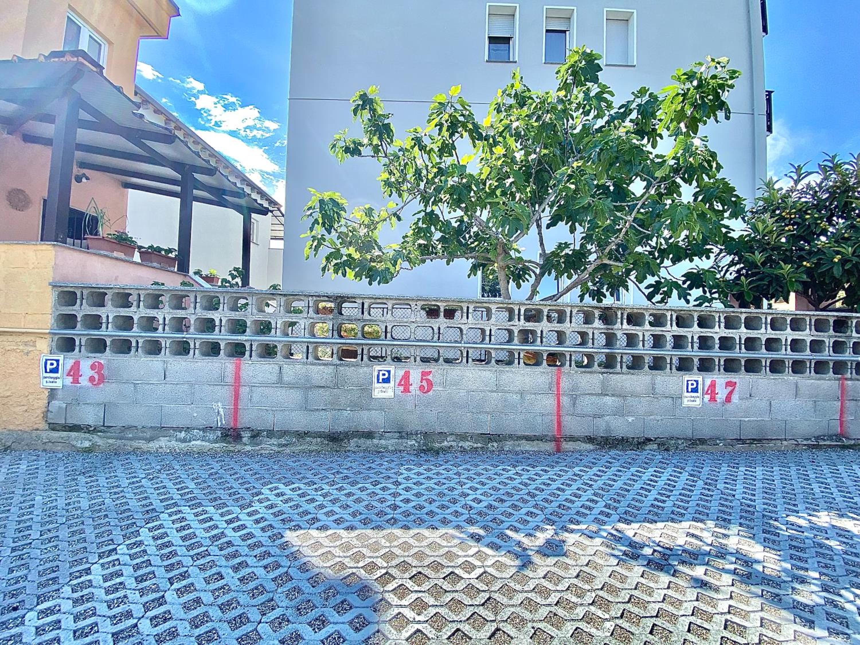 APT Donati view 2