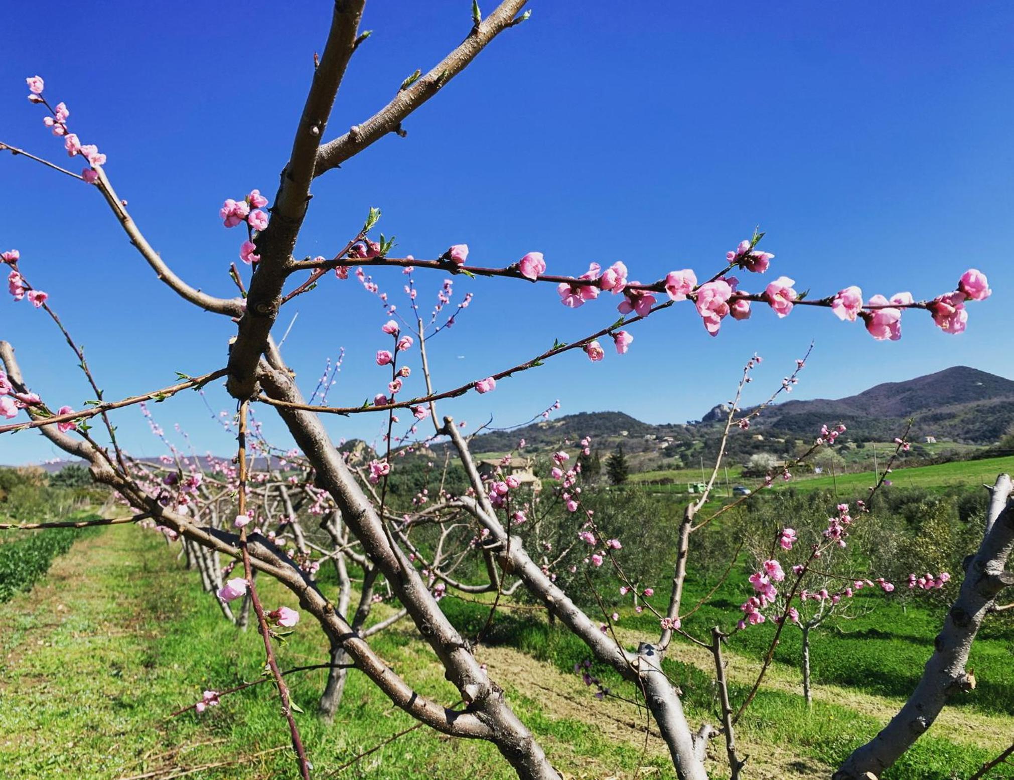 Agriturismo Casale Sasso view 2