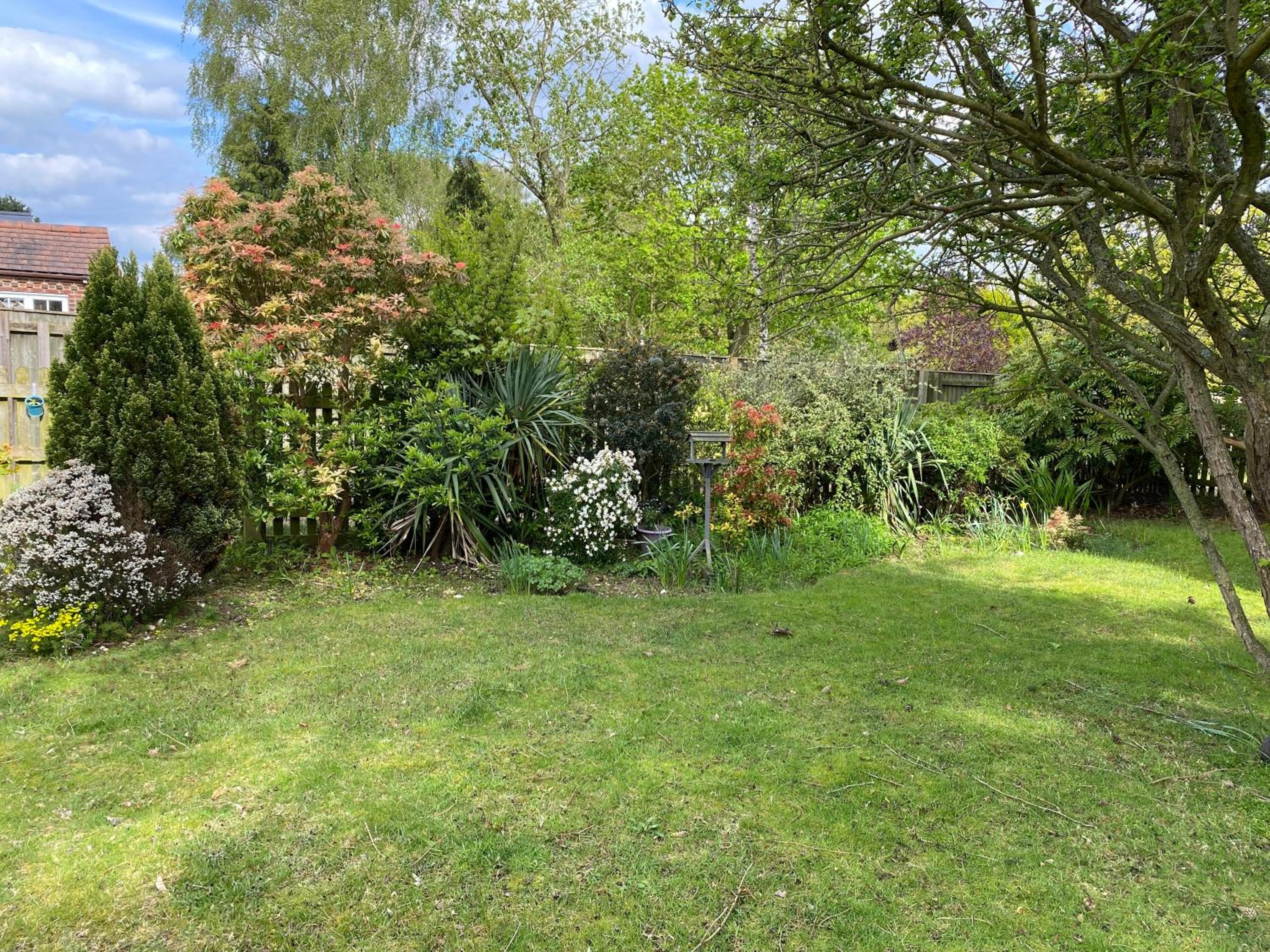 Photo 28