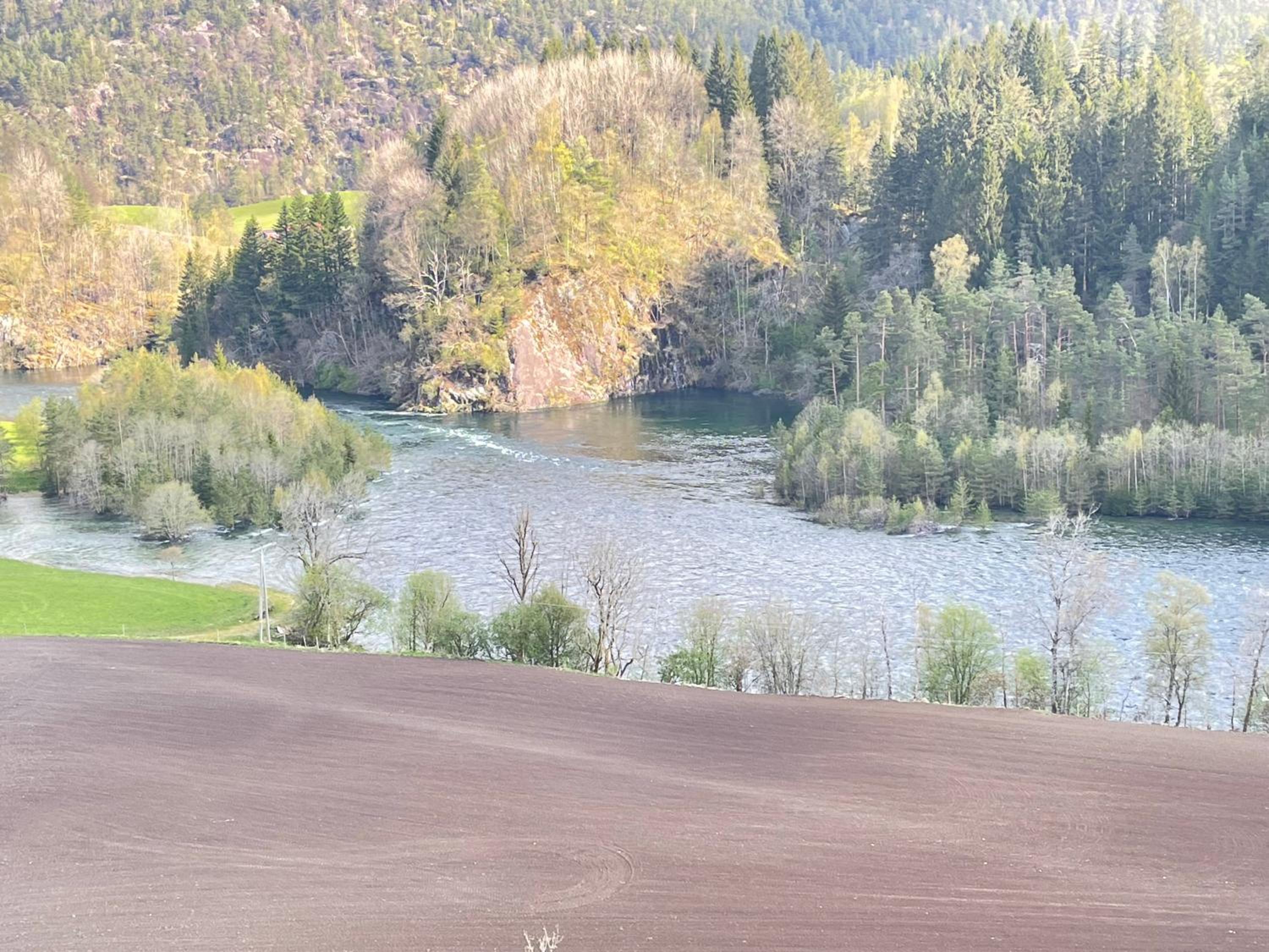 Dr Haave- middle of nowhere, pikeværelset view 2
