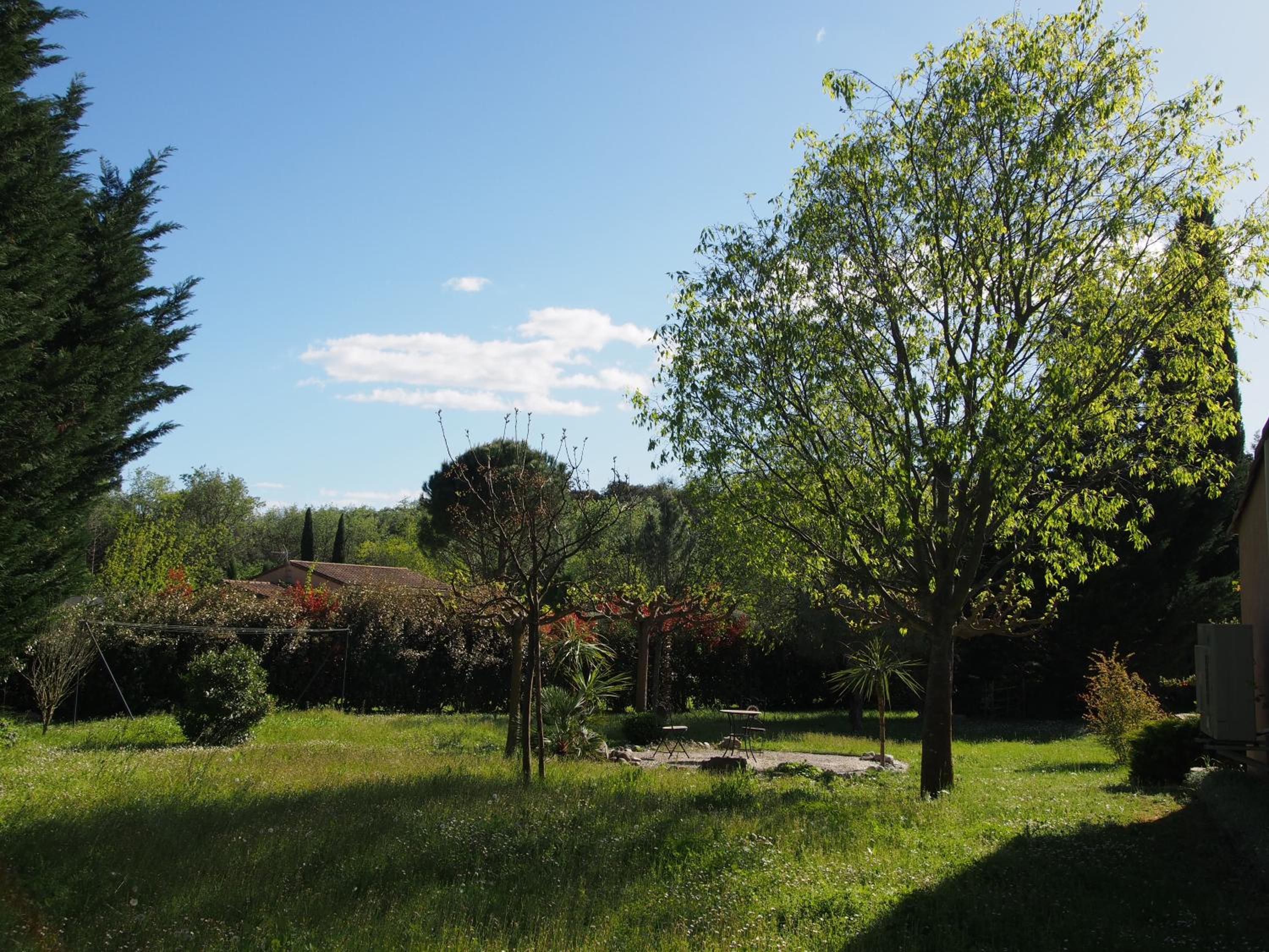 Photo 43