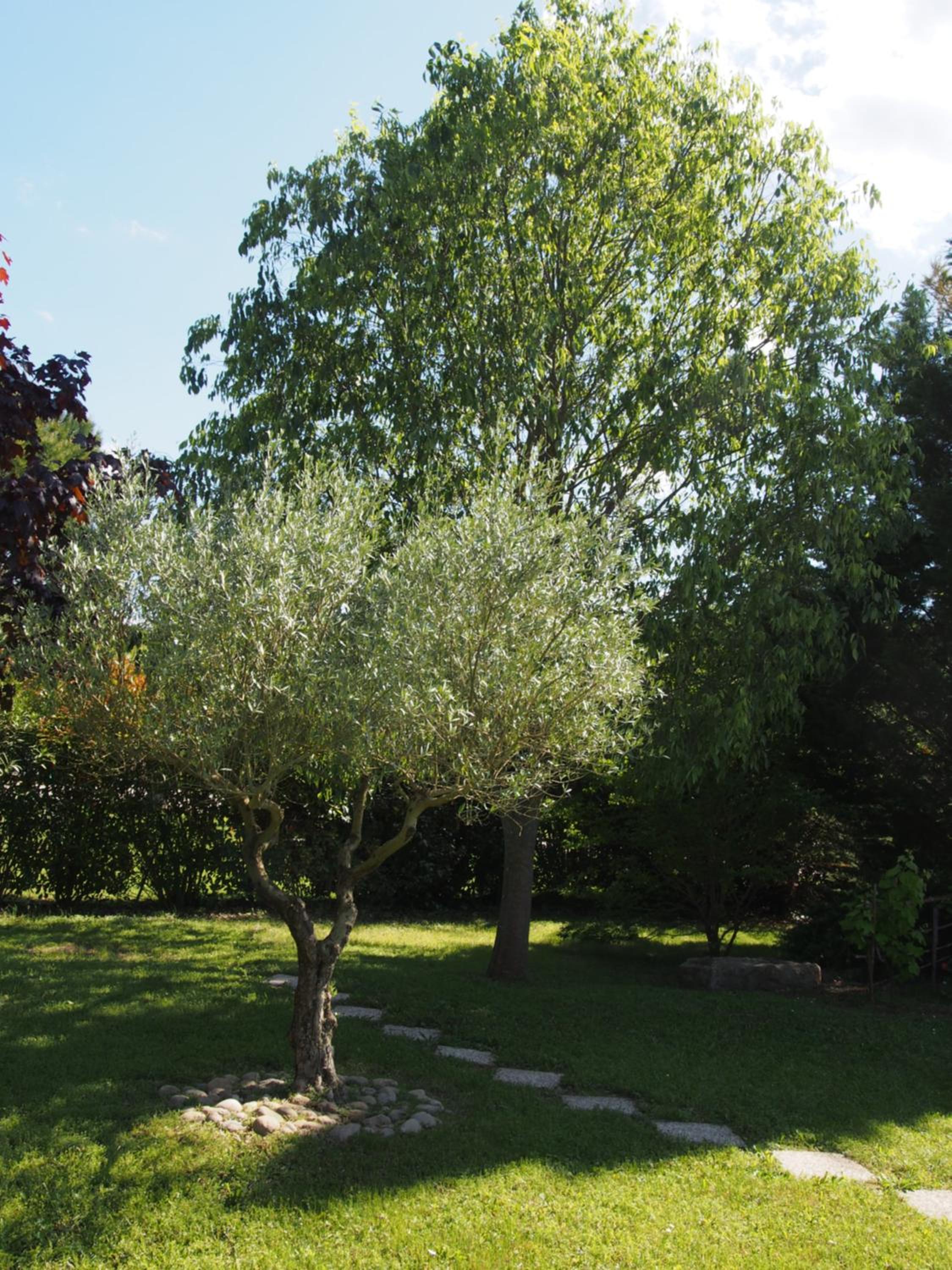 Photo 45