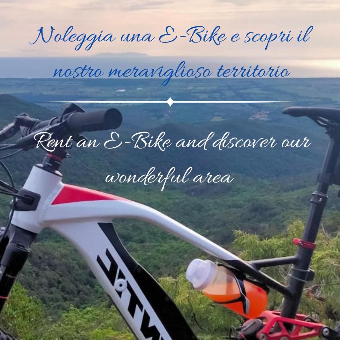 Podere San Filippo B&B-Apartment-Pet Friendly-Rent Bike and Bike Friendly photo 2