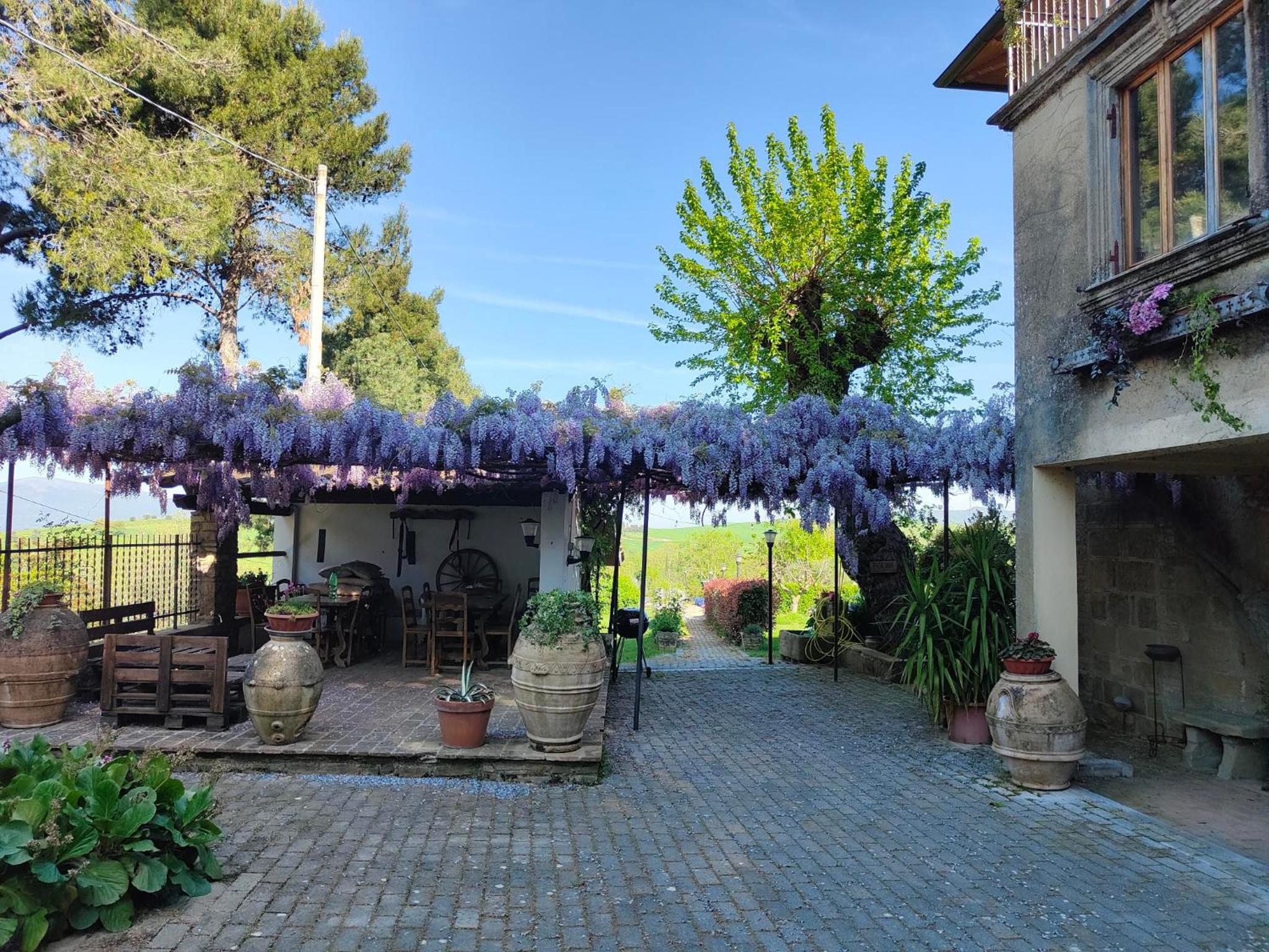 Agriturismo La Collina di Pilonico