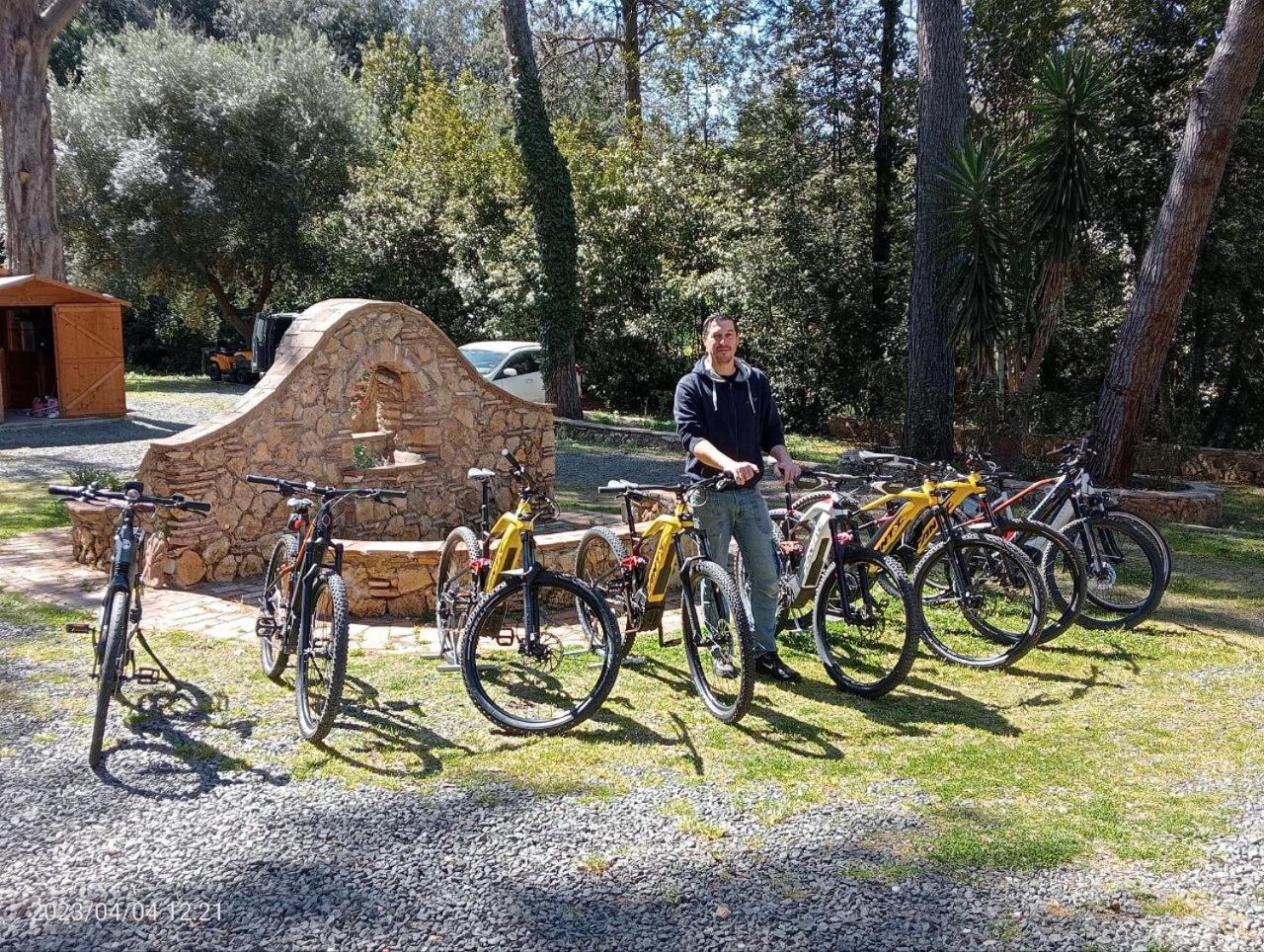 Podere San Filippo B&B-Apartment-Pet Friendly-Rent Bike and Bike Friendly photo 3