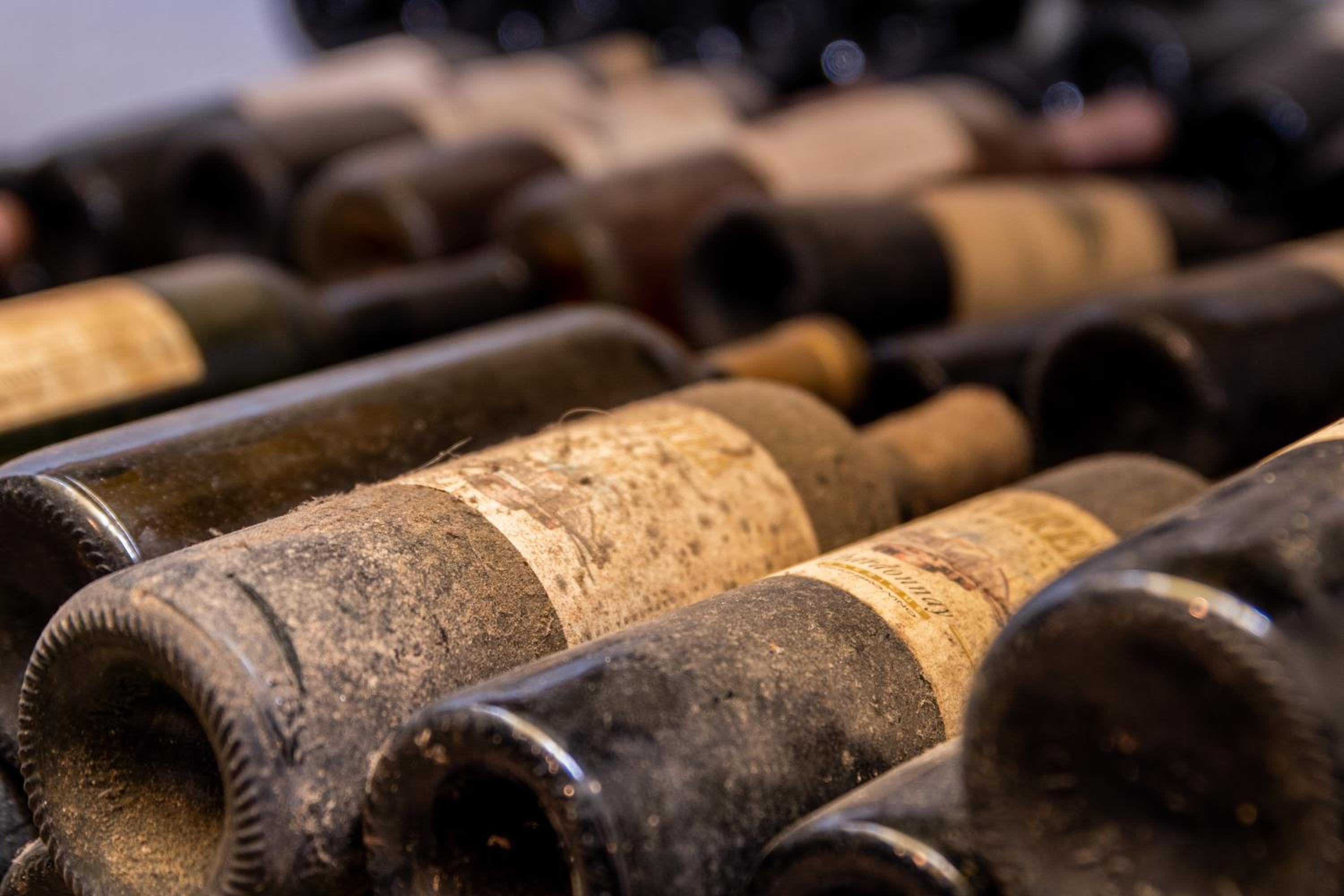 Posestvo Ščurek wine