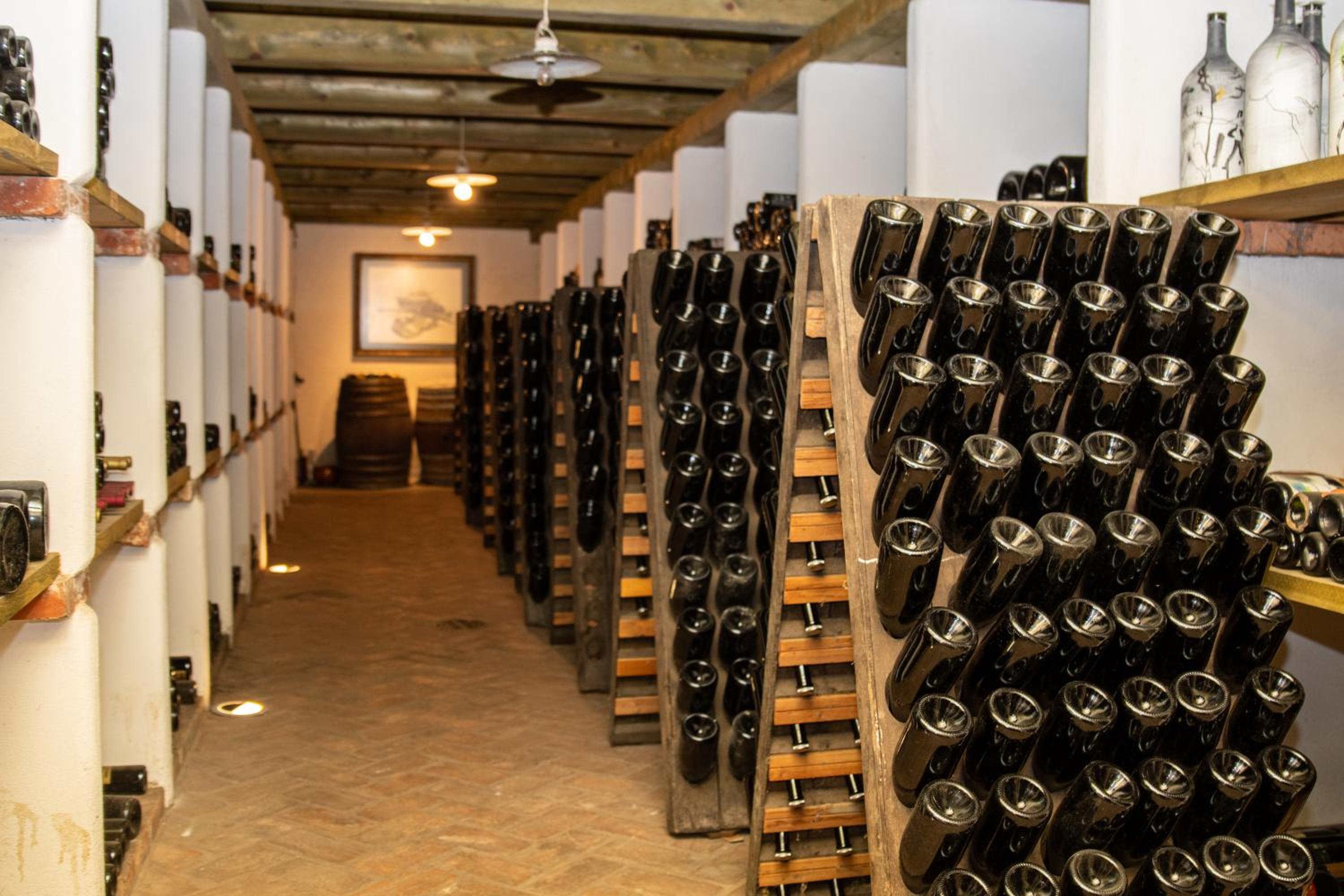 Posestvo Ščurek wine