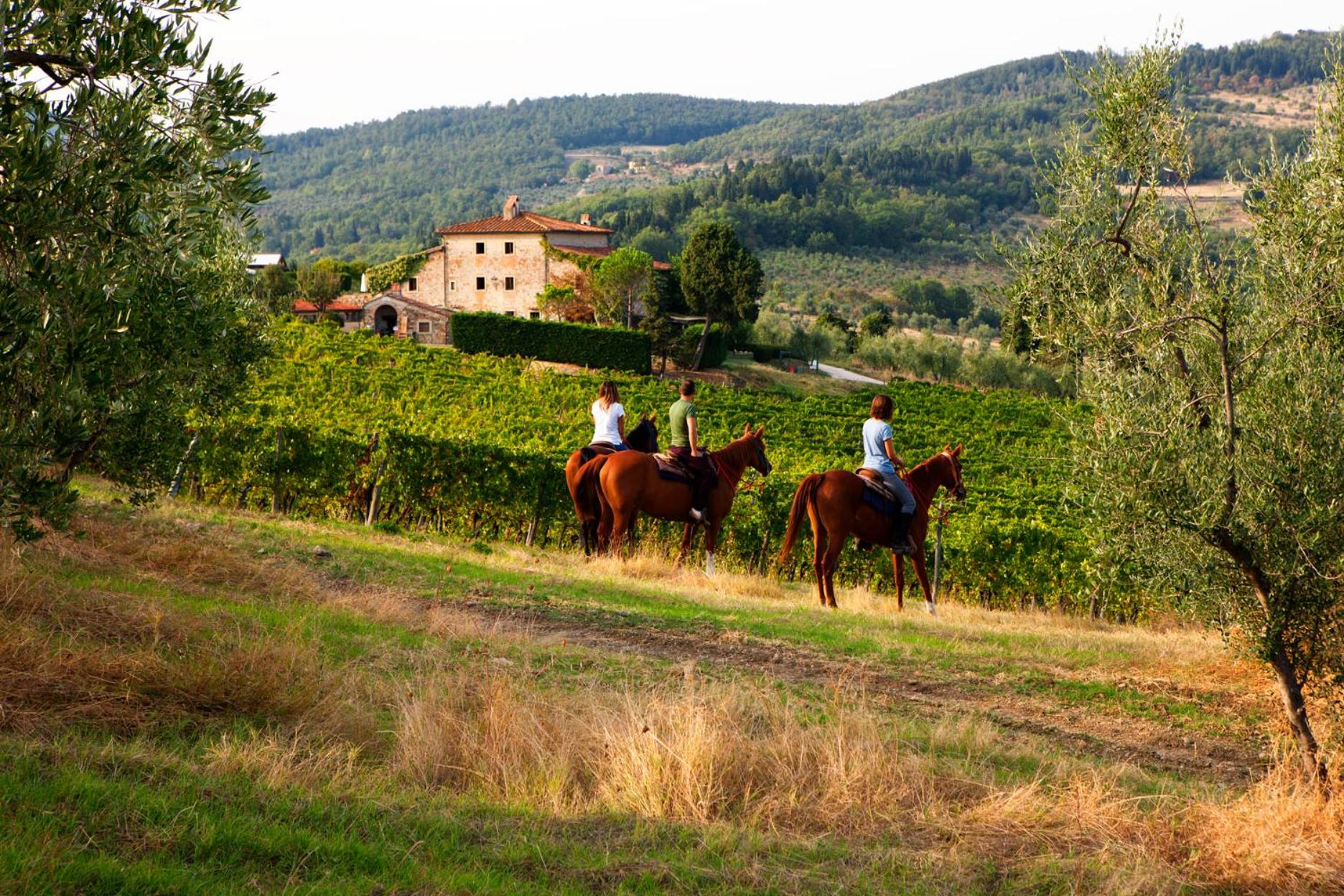 Florence Winery AgriResort - Fattoria Lavacchio