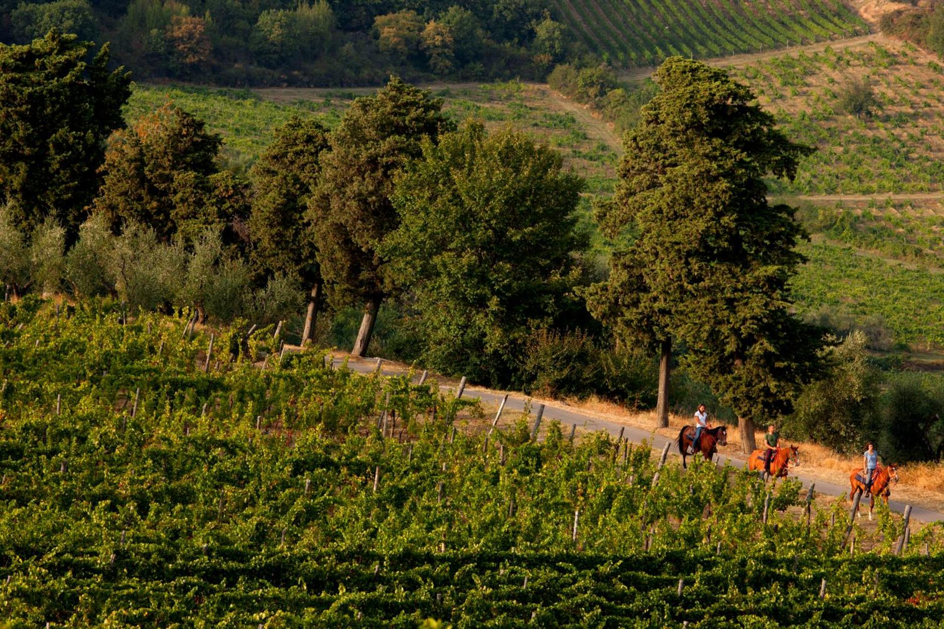 Florence Winery AgriResort - Fattoria Lavacchio