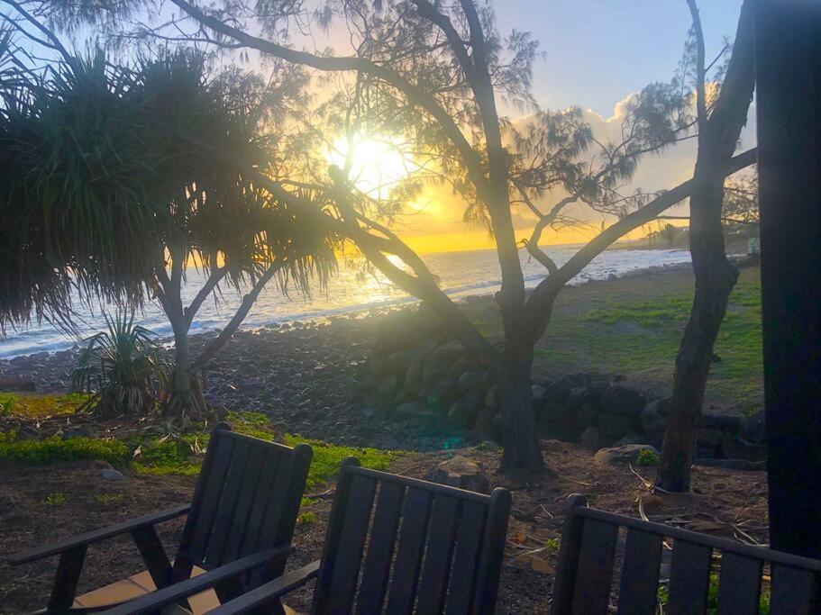PRIVATE OCEAN FRONT, PET FRIENDLY OASIS!