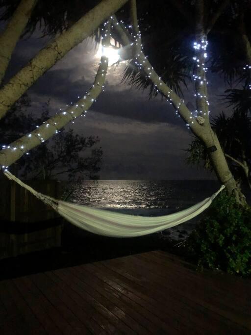 PRIVATE OCEAN FRONT, PET FRIENDLY OASIS!