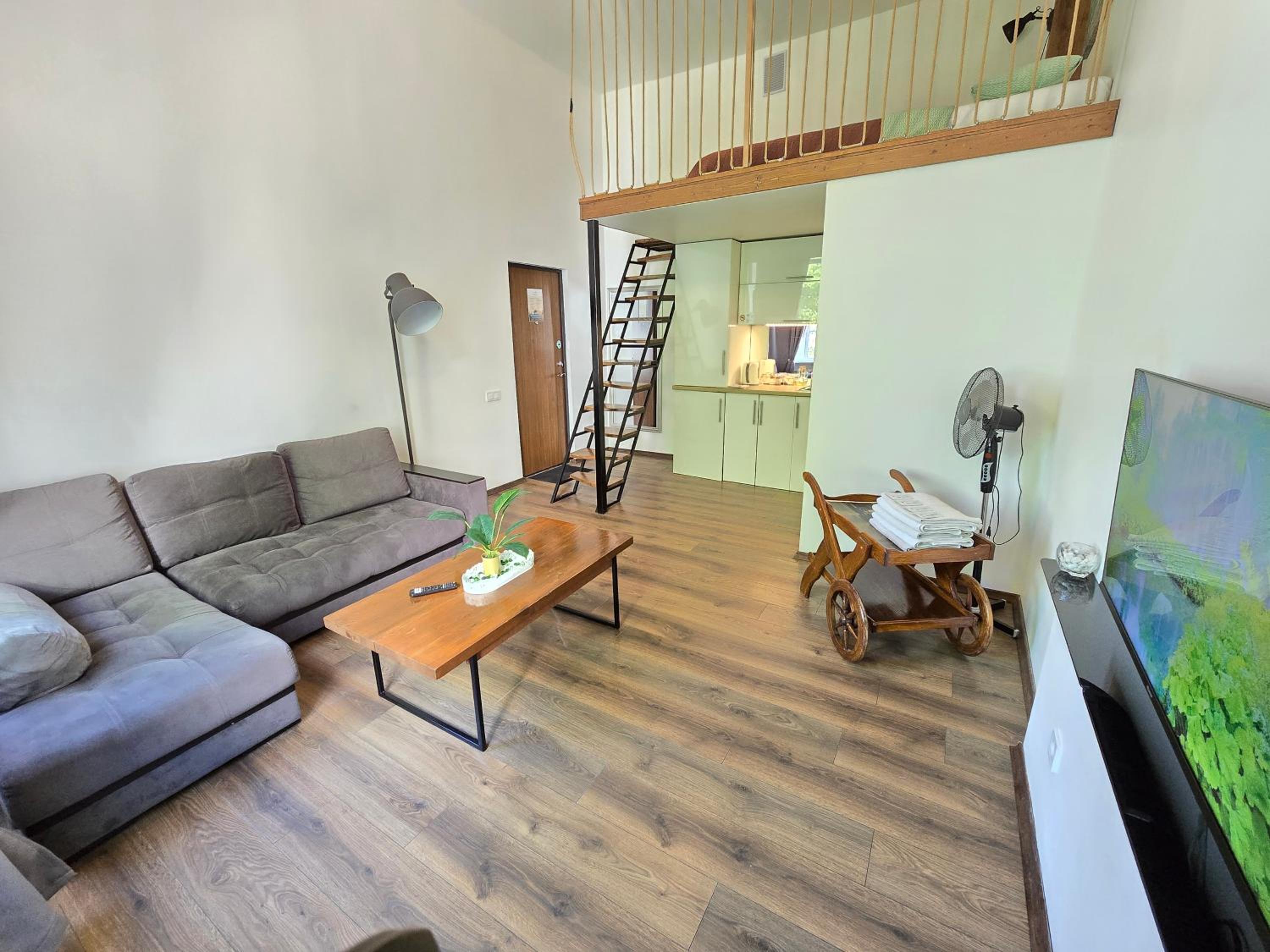Loft Apartment view 3
