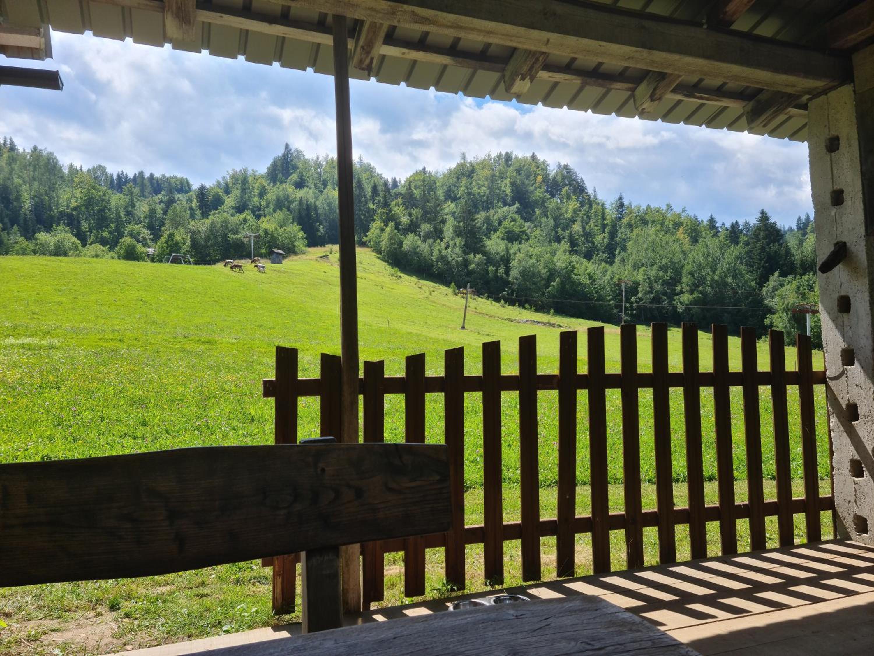 Apartments Anž'k