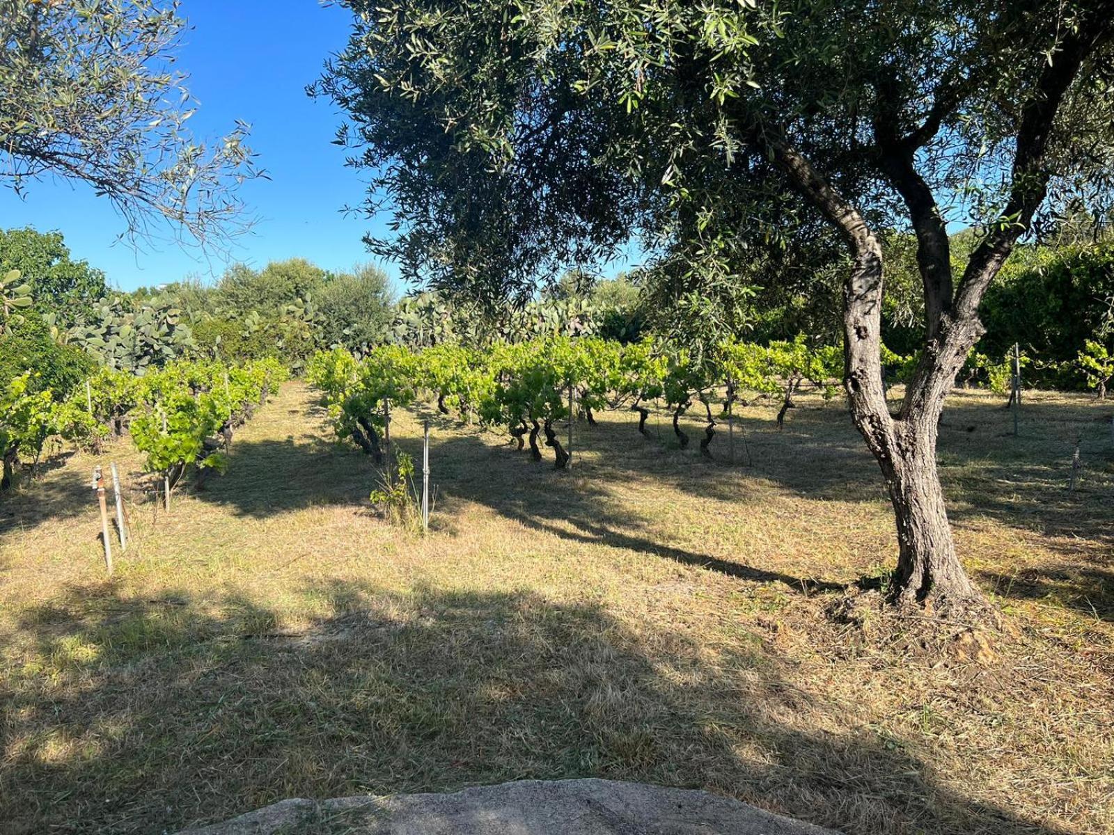 House Tres Molinas -Marrizza view 2