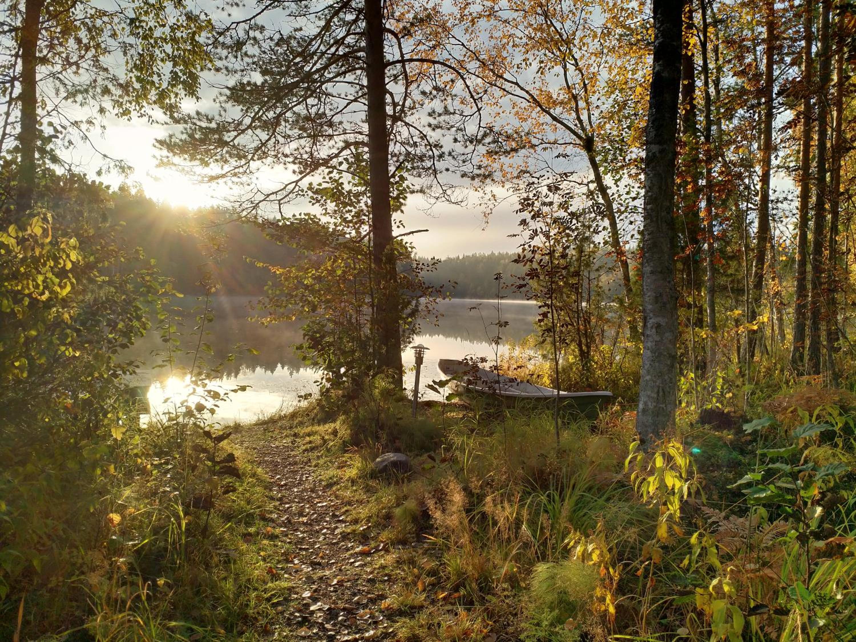Hawkhill Resort