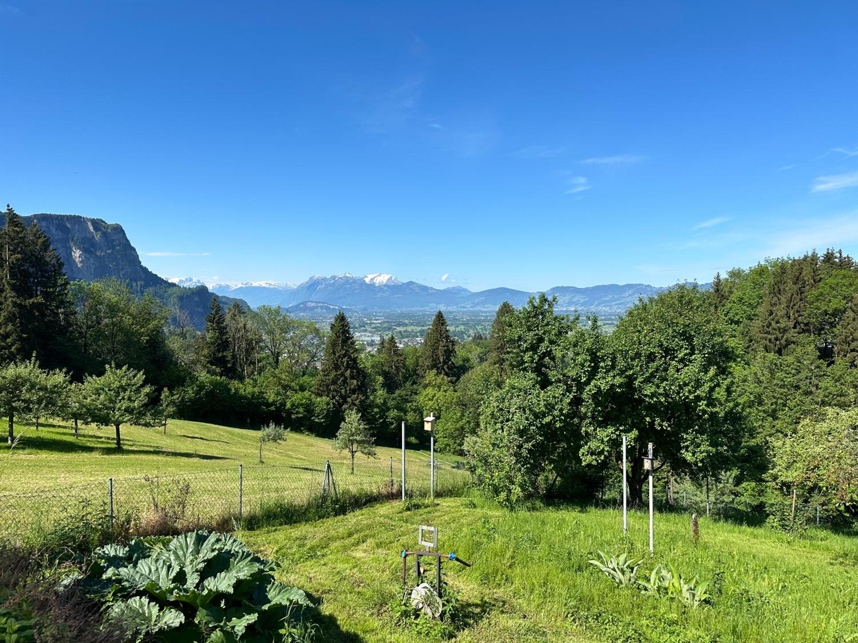 Kraft tanken in grüner Oase mit großem Wohnraum und riesigem Garten