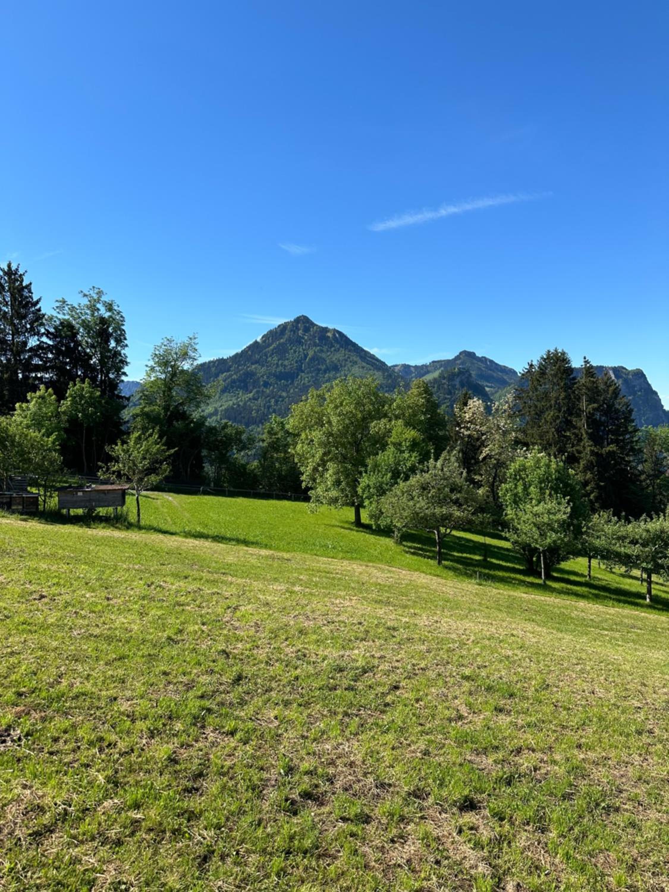 Kraft tanken in grüner Oase mit großem Wohnraum und riesigem Garten