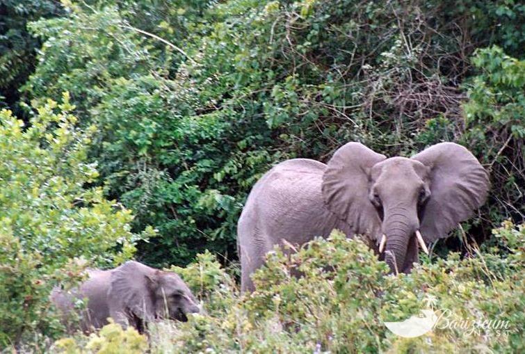 Photo 30