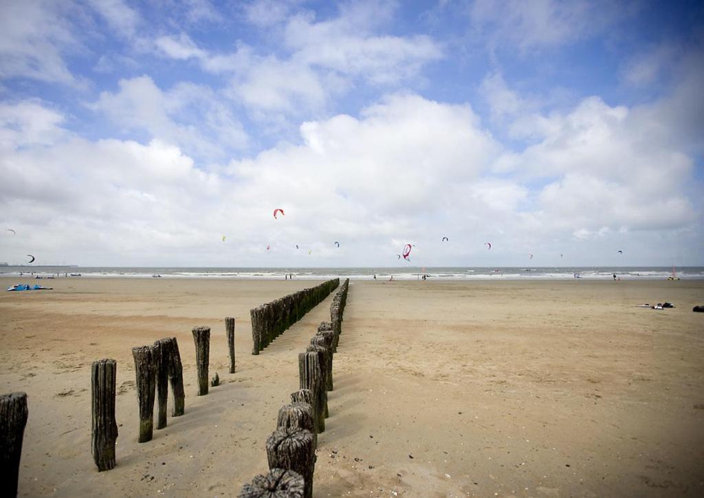 7e verdiep Appartement met zeezicht in Knokke voor max 6 personen view 4