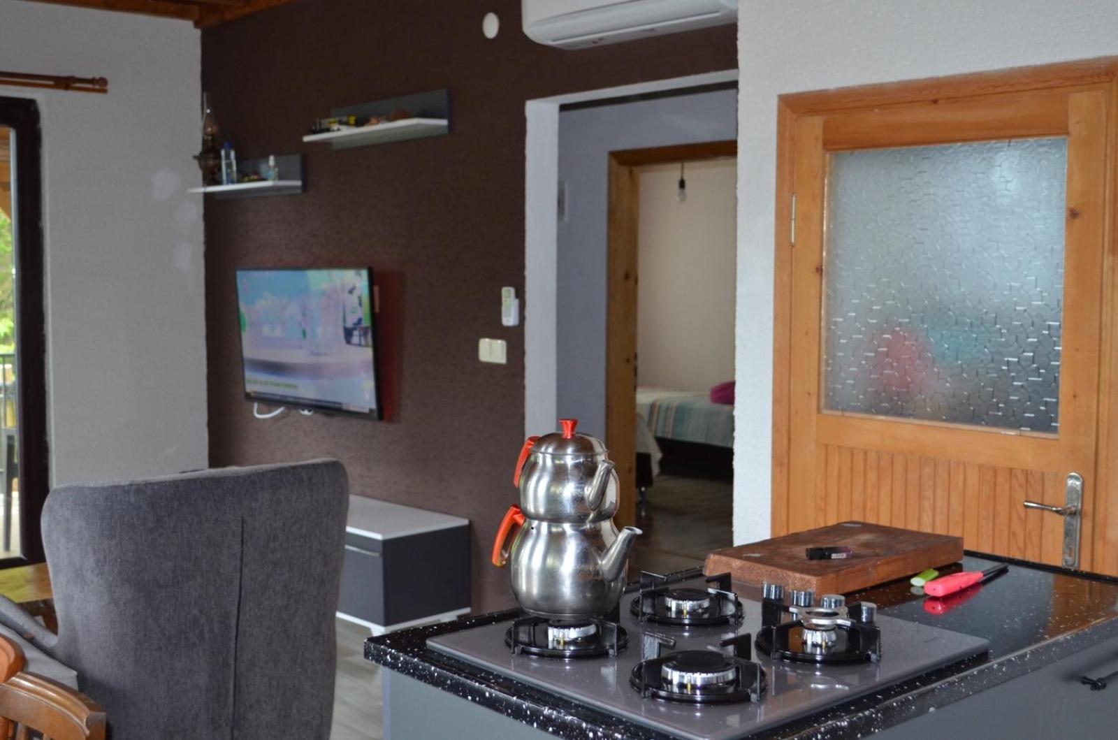 Trabzon green valley villa view 3