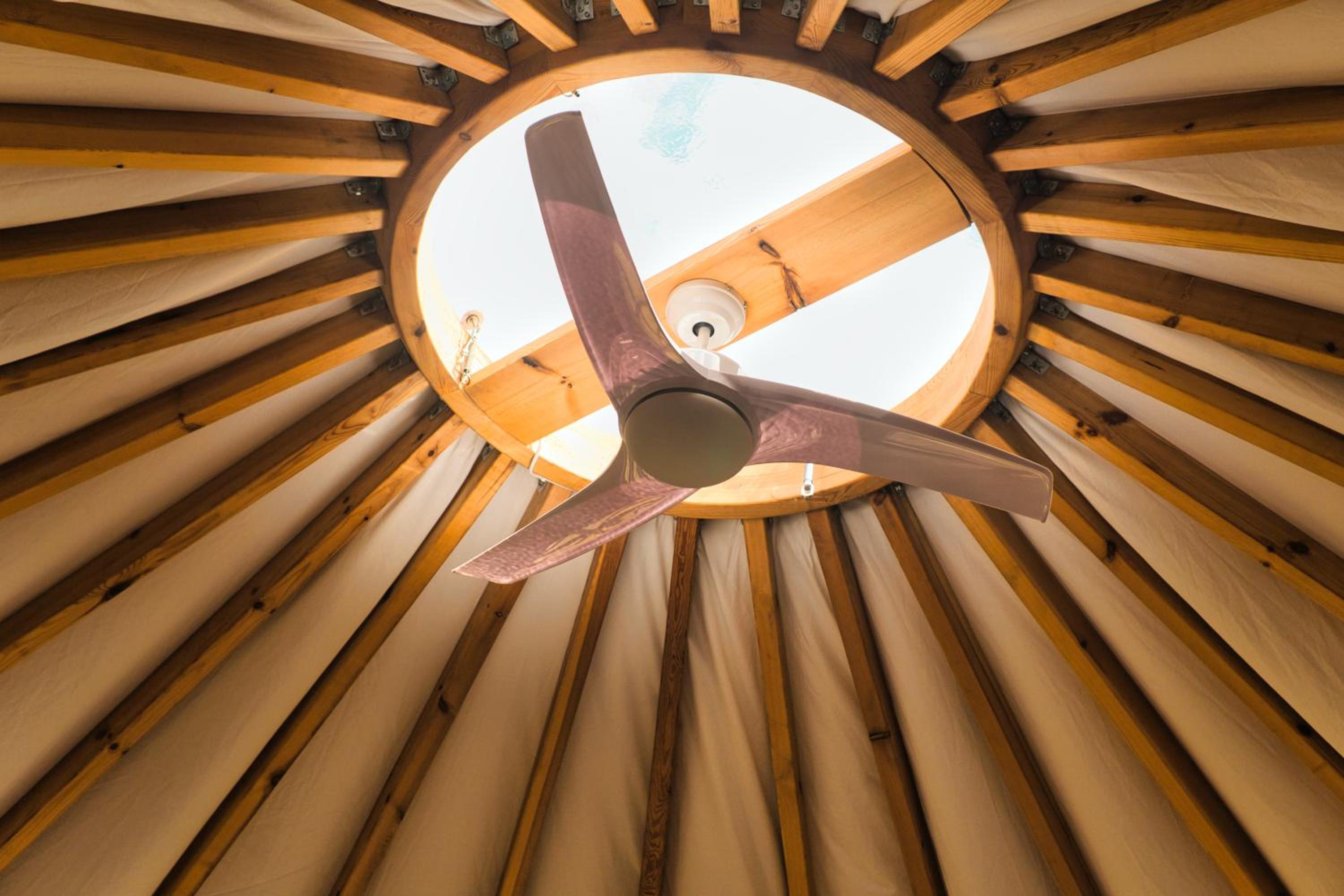 La Muntanera - Eco Yurt - Pool, Nature retreat view 4