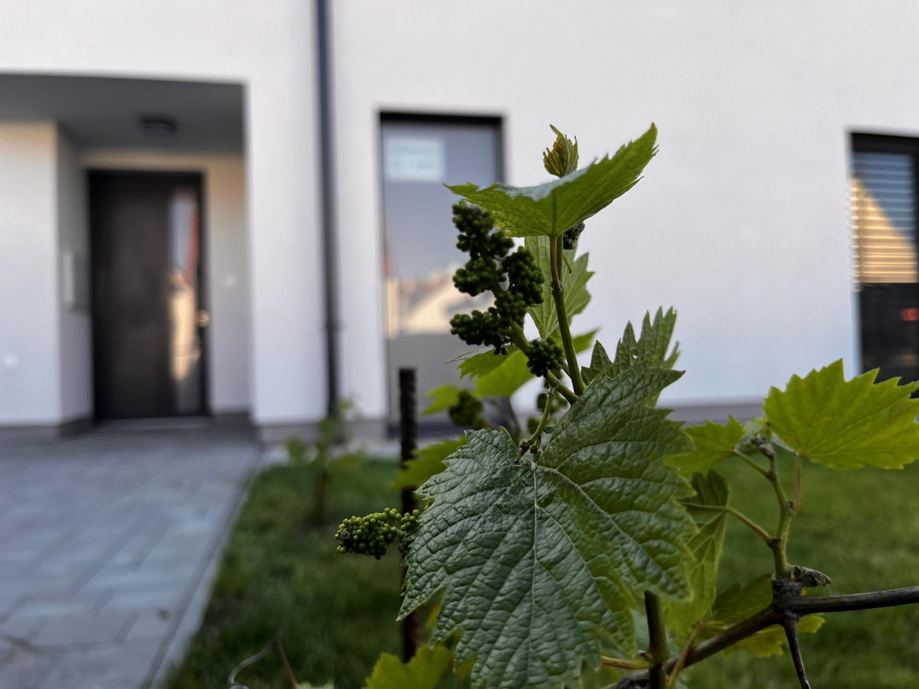 Apartmány Mikulovské zahrady
