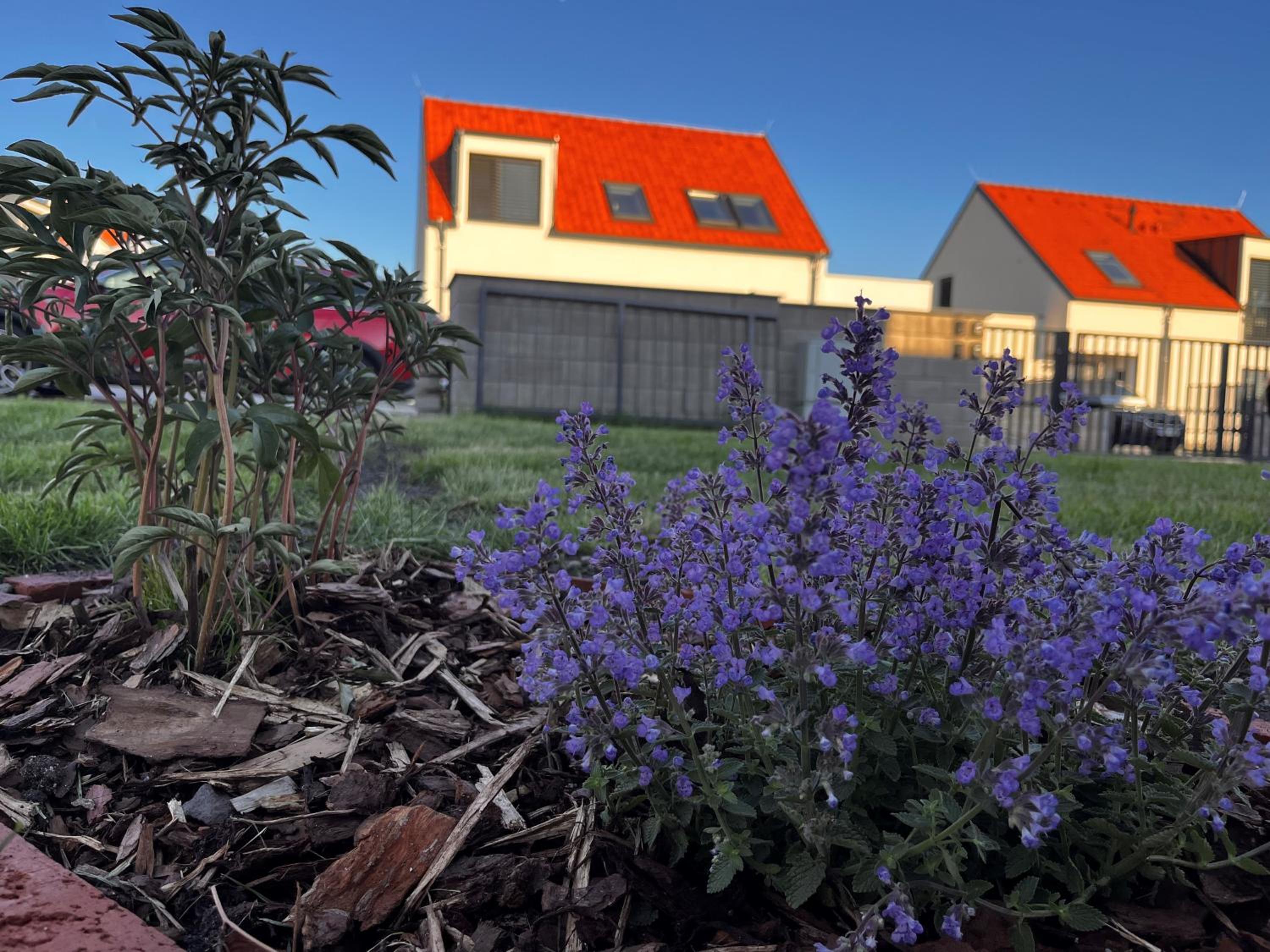Apartmány Mikulovské zahrady