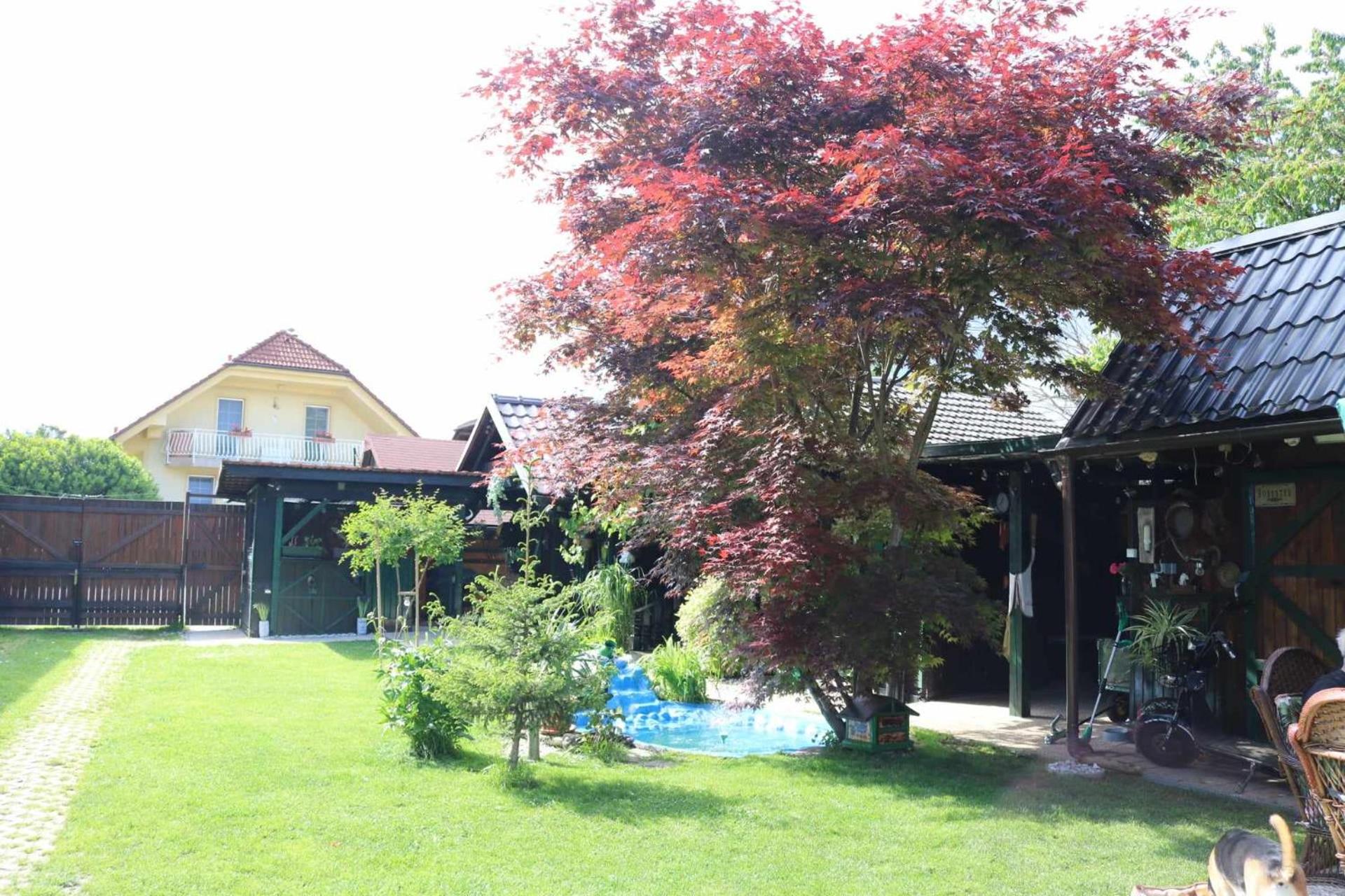 Frenkcottage 5 KM FROM THE AIRPORT- FREE TRANSPORTATION TO THE AIRPORT view 3
