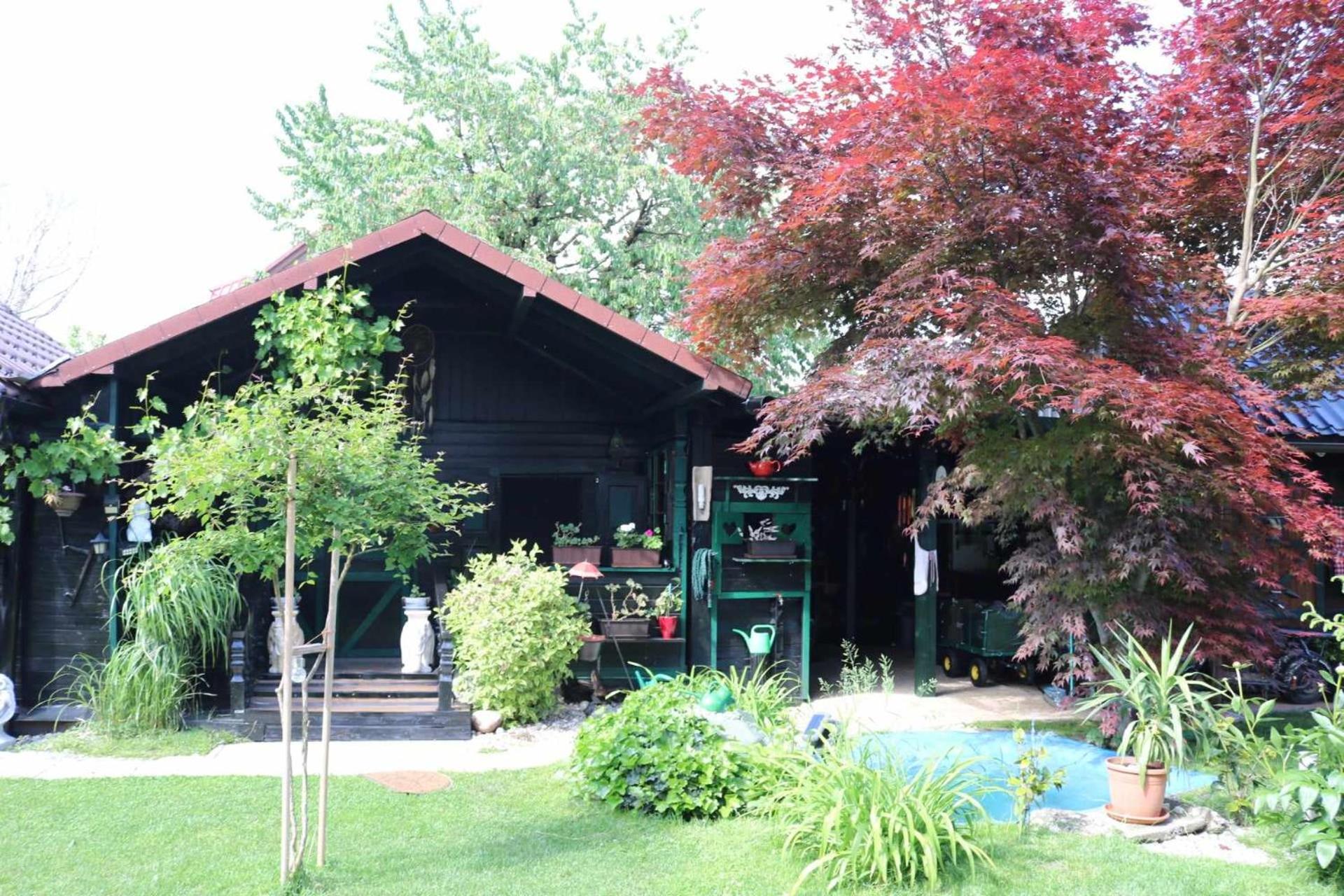 Frenkcottage 5 KM FROM THE AIRPORT- FREE TRANSPORTATION TO THE AIRPORT view 4