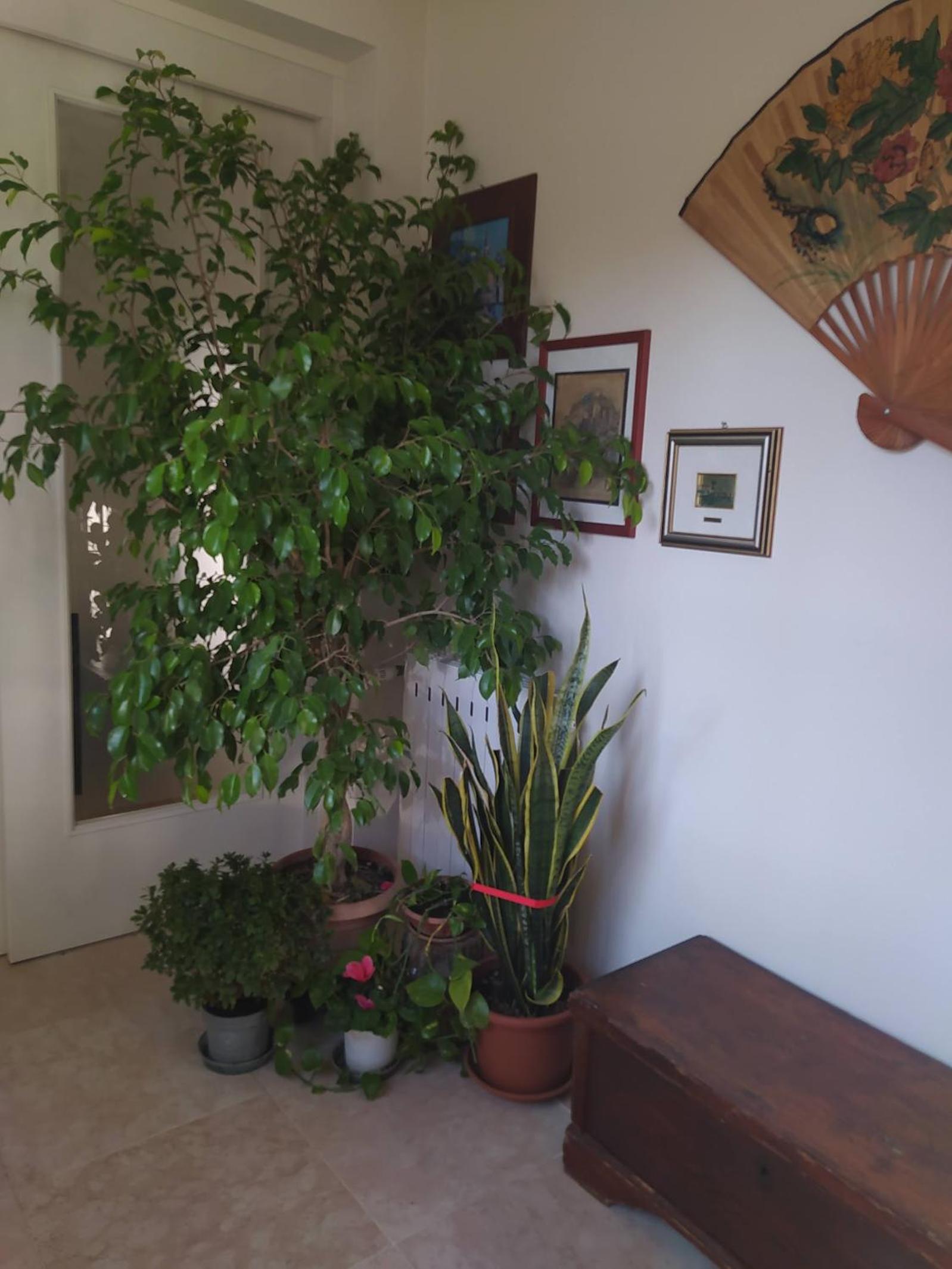 Casa vacanza "A Castelfranco d'Oglio"