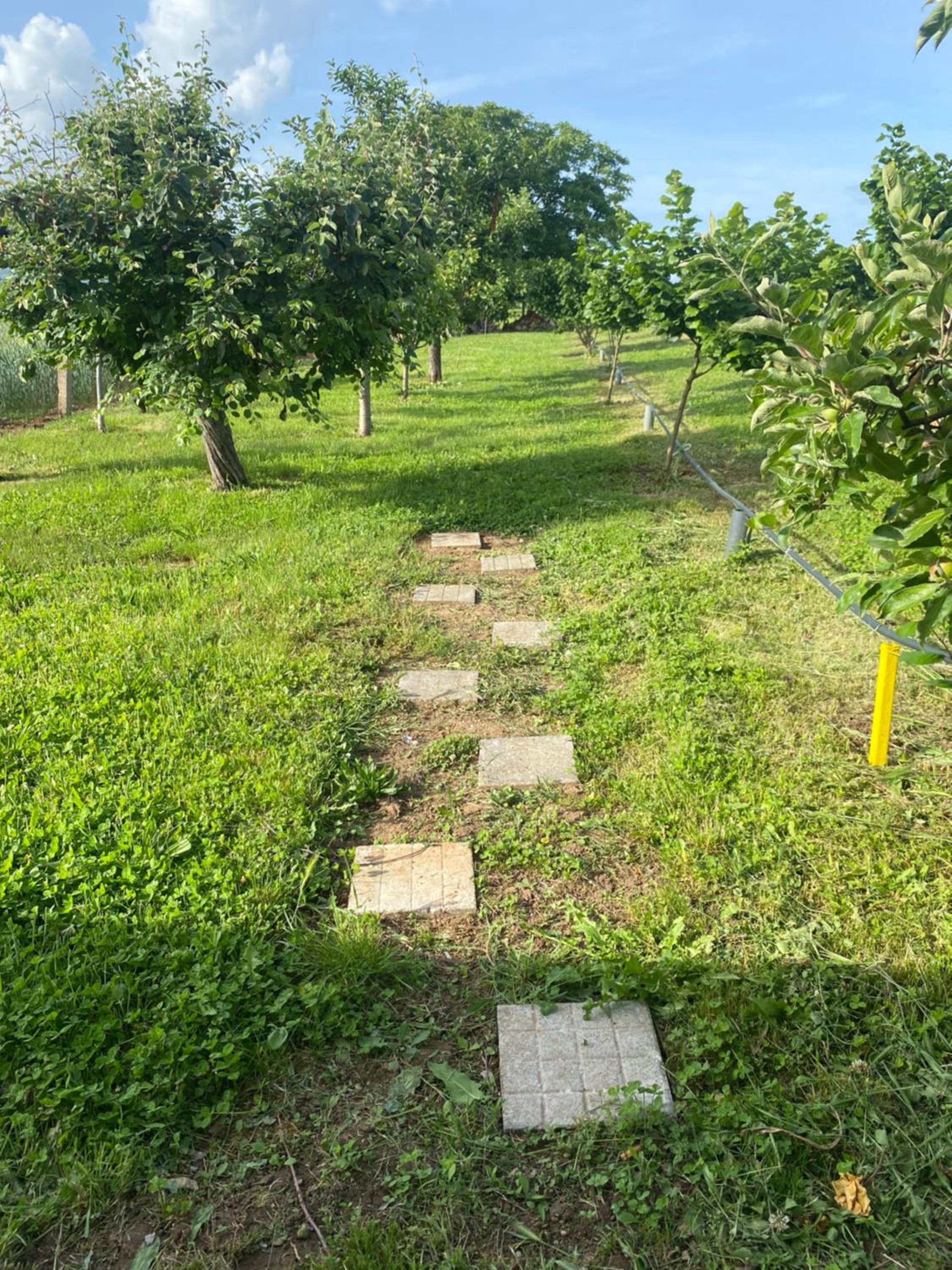 Photo 8