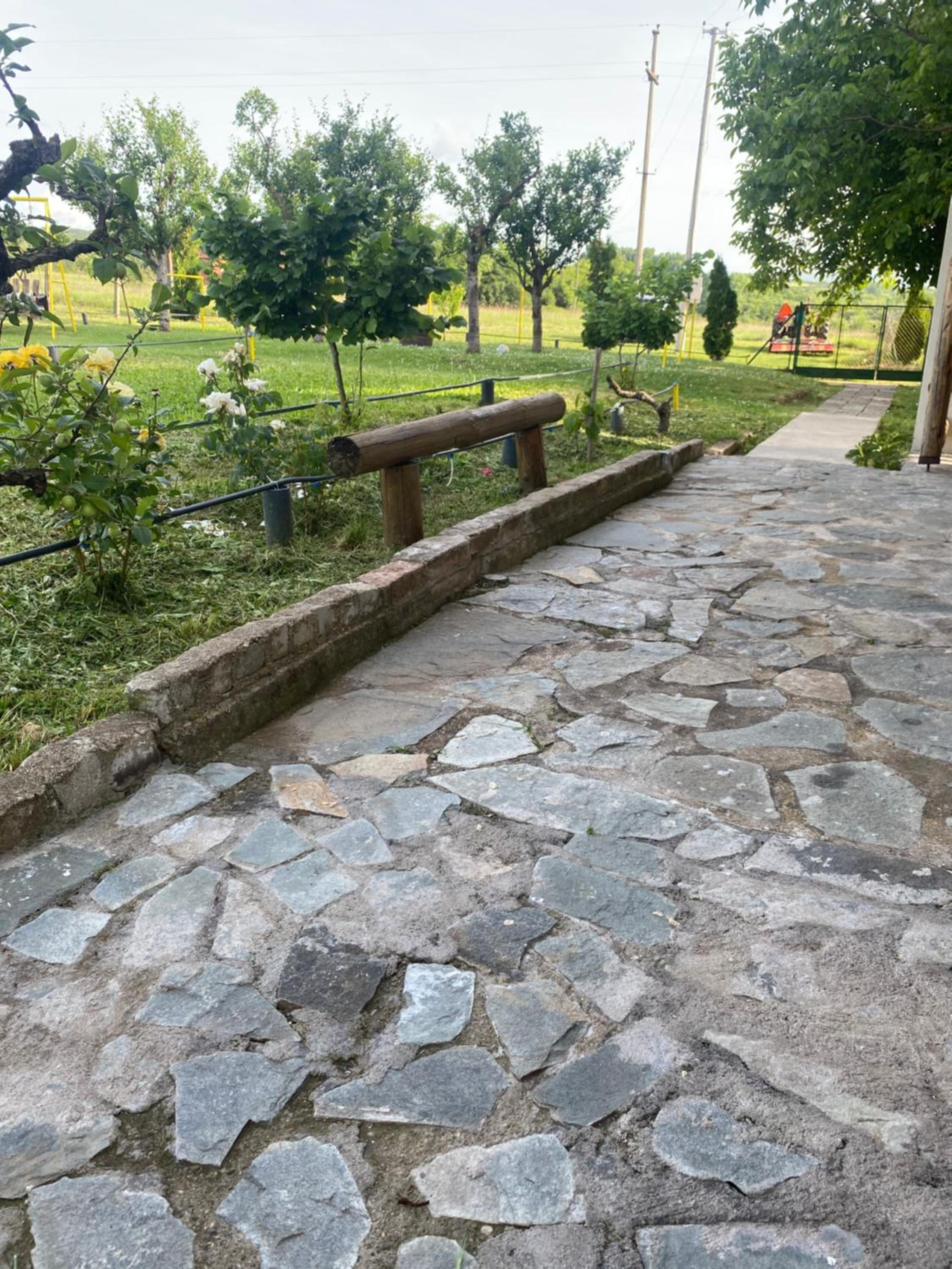 Photo 12
