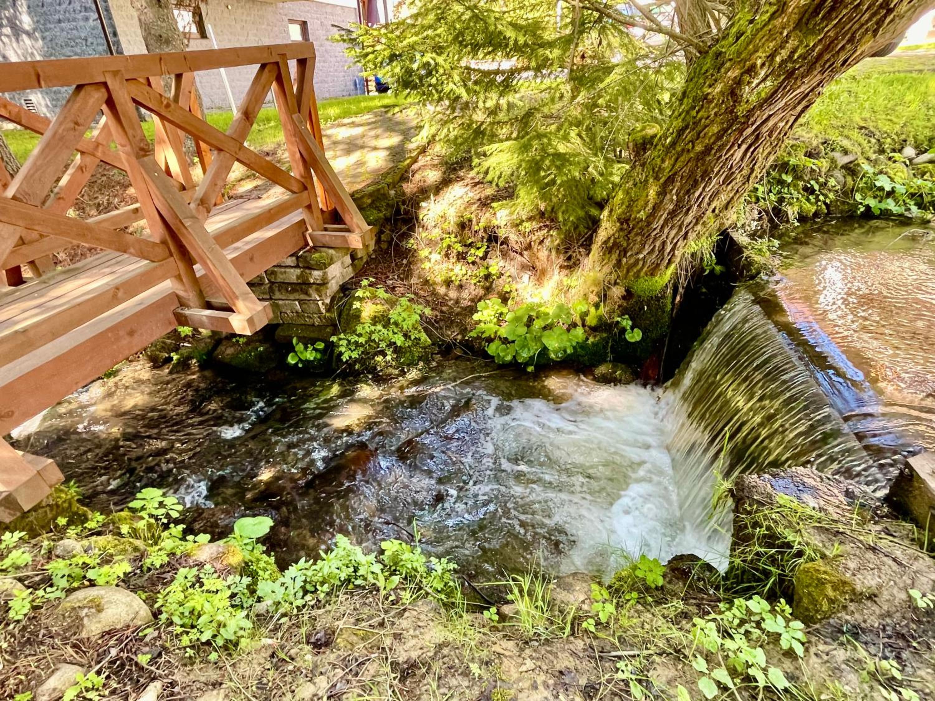 Photo 22